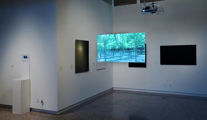 install view.jpg