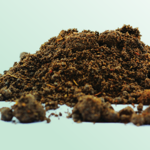 SanctifiedDirt