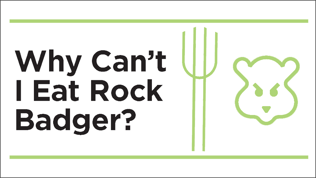 rockbadger.png