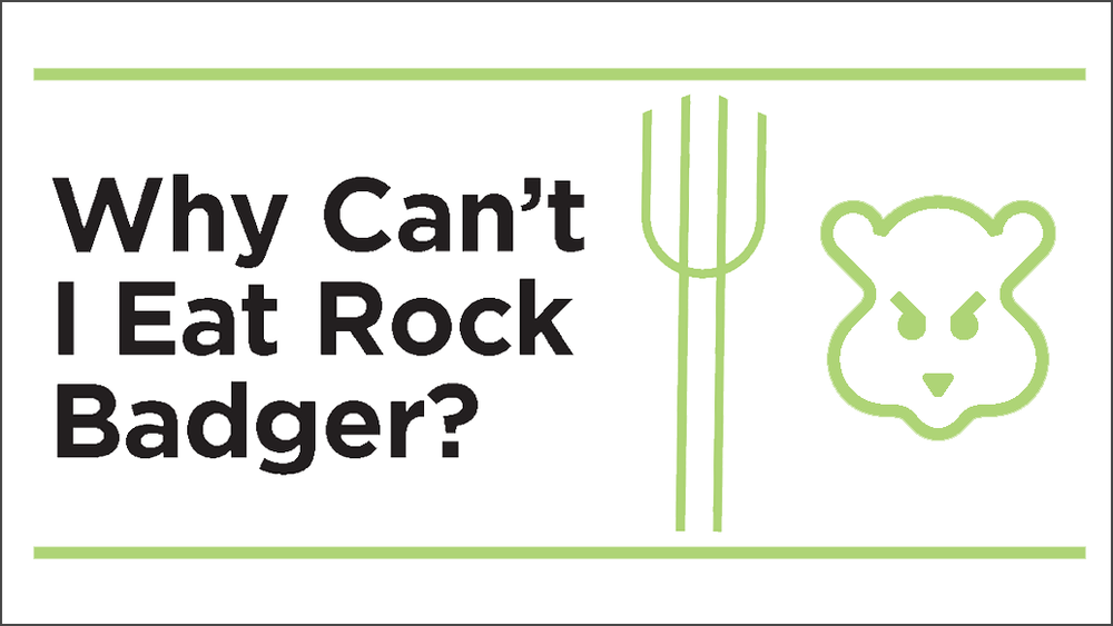 Why Can't I Eat Rock Badger? — Bible Study Magazine