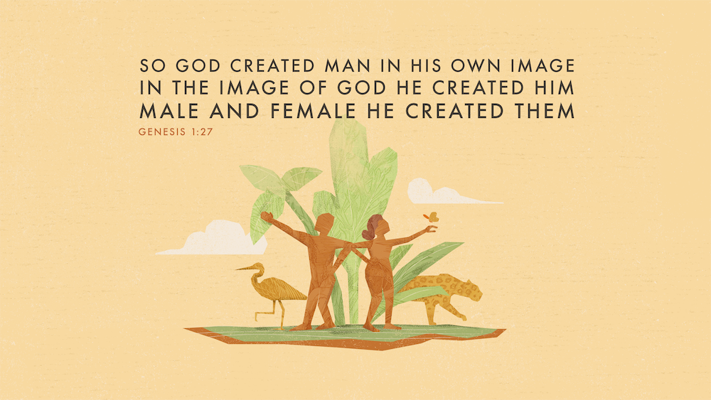 Genesis-Composite.png