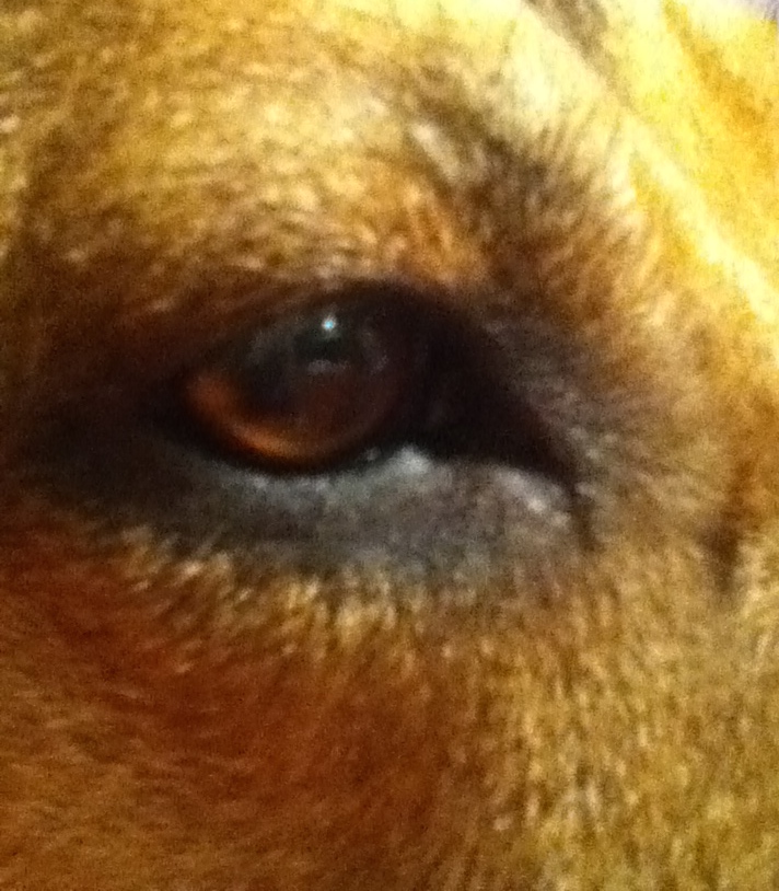 "My BFF's Eye" digital photo 2013