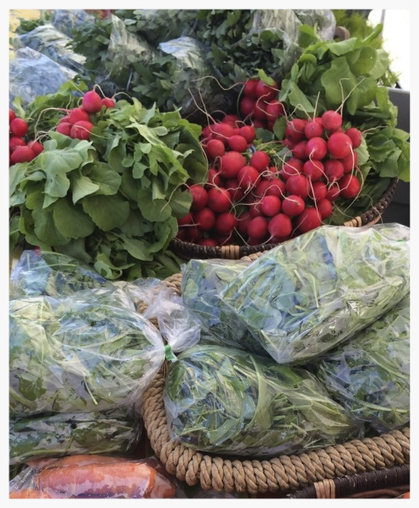 This photo was taken from the Main Farmers' Market website: www.mainfarmersmarket.org