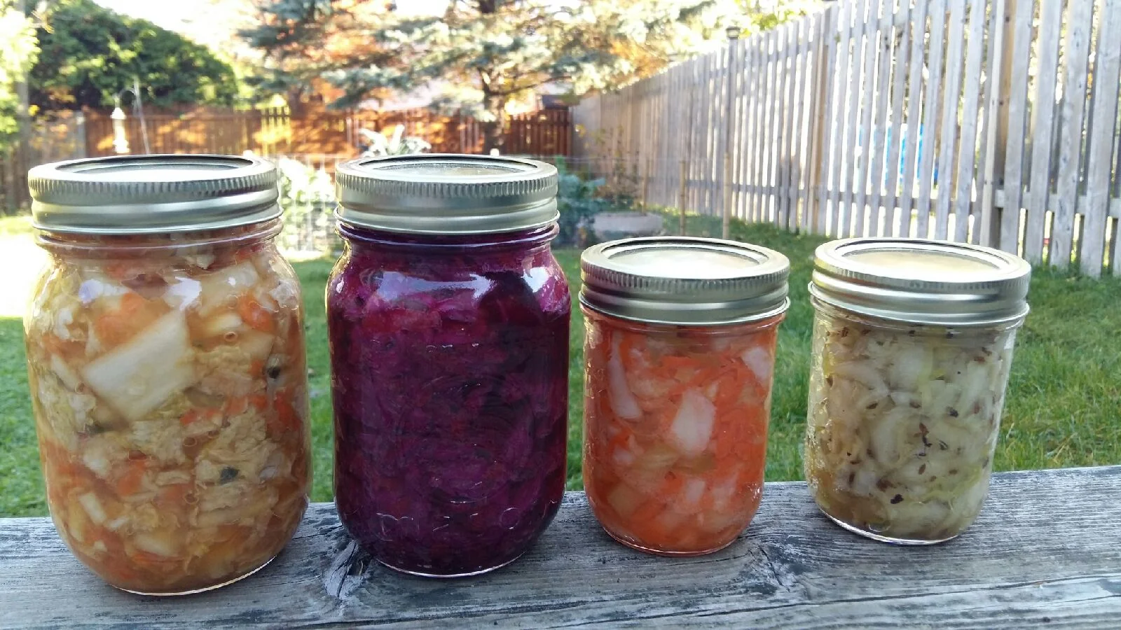 In-Person Sauerkraut & Kimchi Workshop