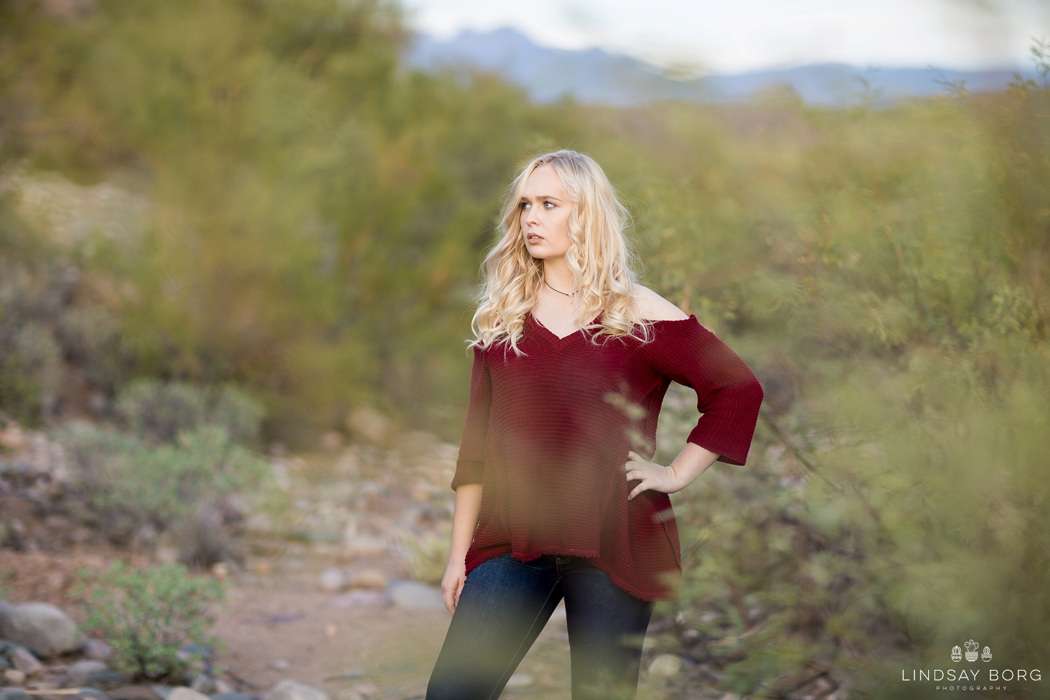 Lindsay-Borg-Photography-arizona-senior-wedding-portrait-photographer-az_0015.jpg