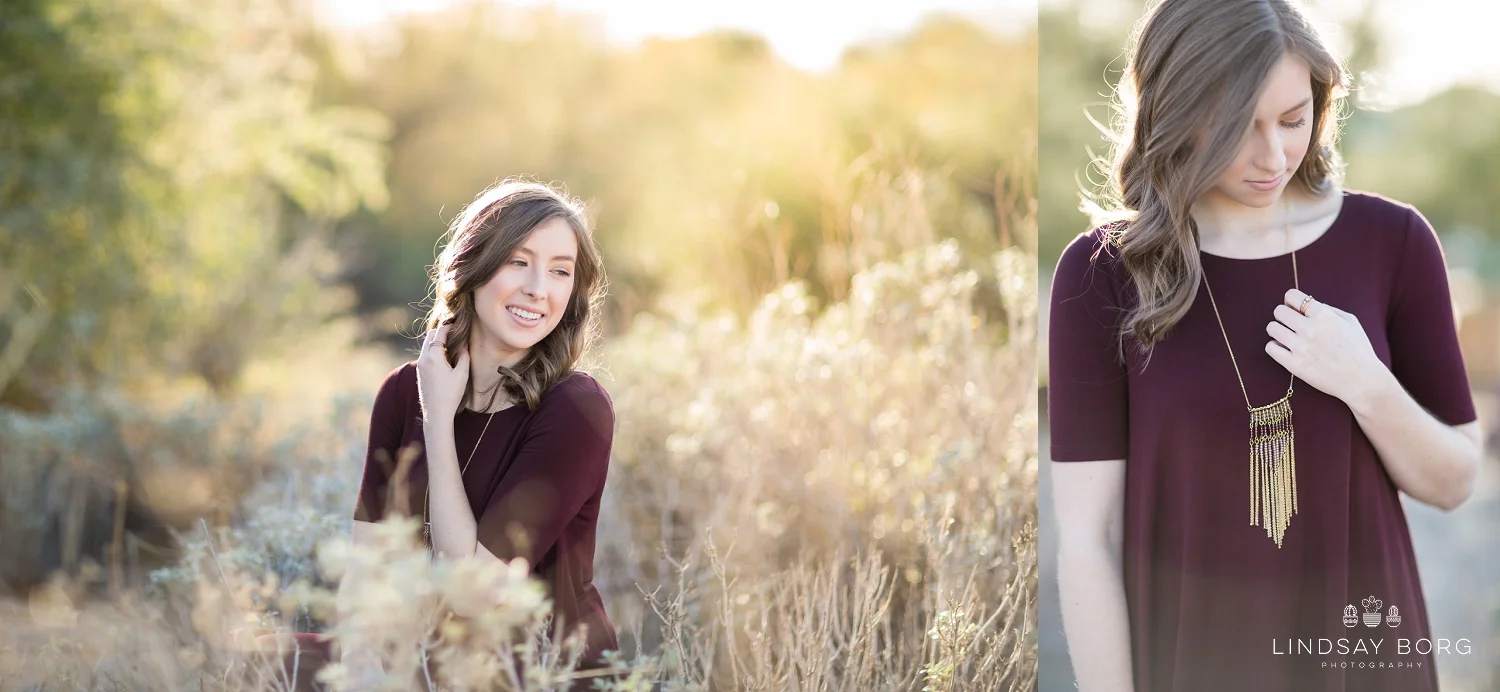 Lindsay-Borg-Photography-arizona-senior-wedding-portrait-photographer-az_0033.jpg