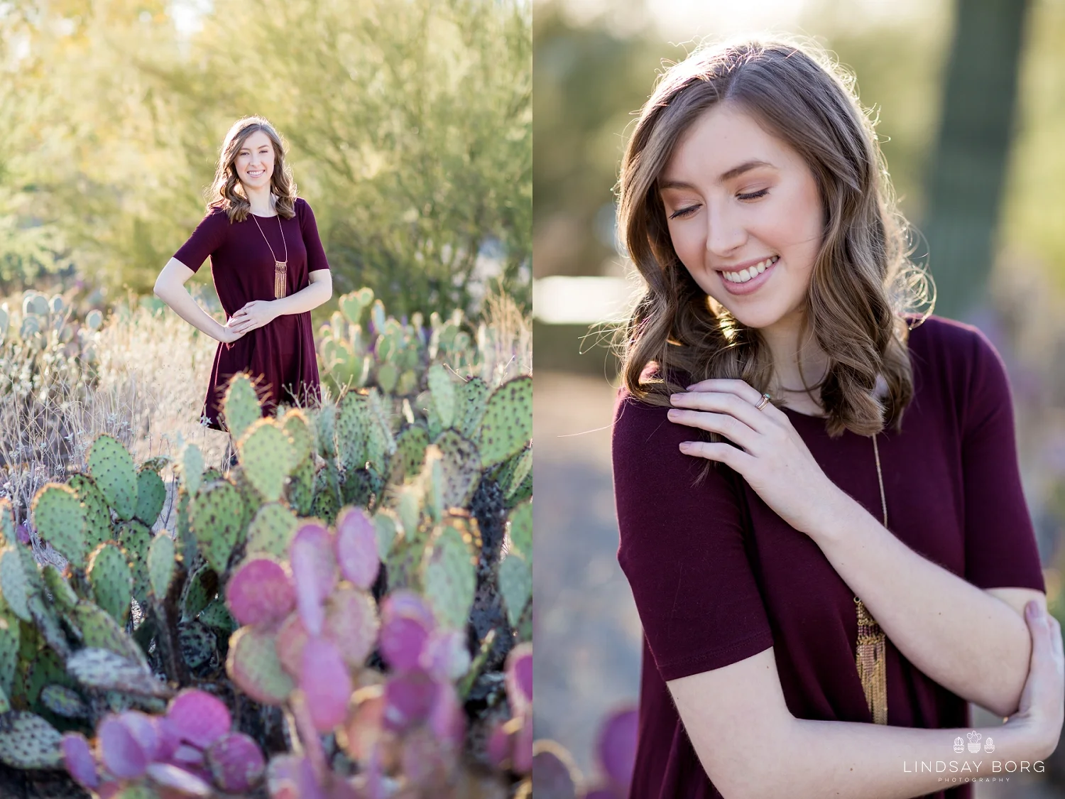 Lindsay-Borg-Photography-arizona-senior-wedding-portrait-photographer-az_0034.jpg