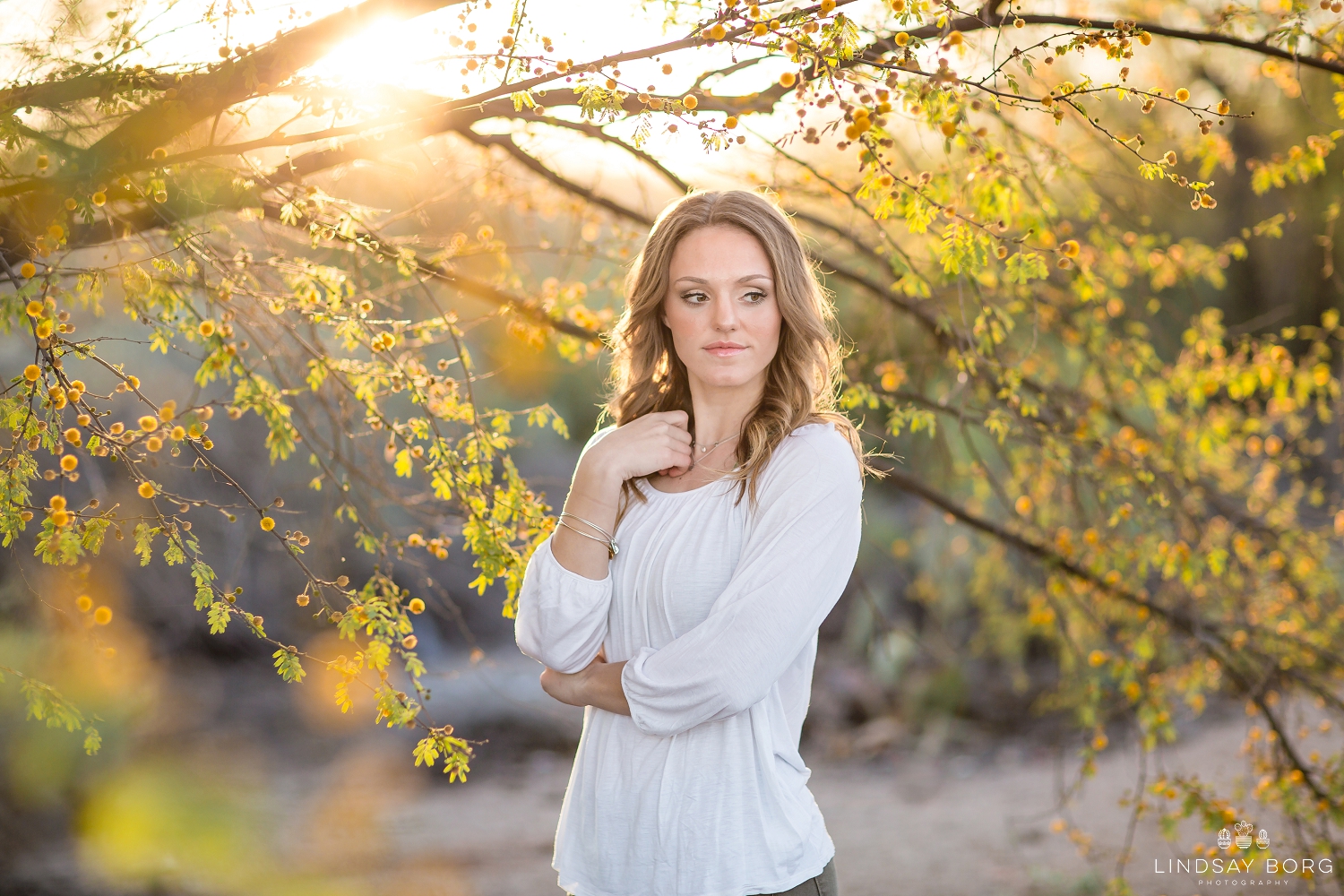 Lindsay-Borg-Photography-arizona-senior-wedding-portrait-photographer-az_1012.jpg