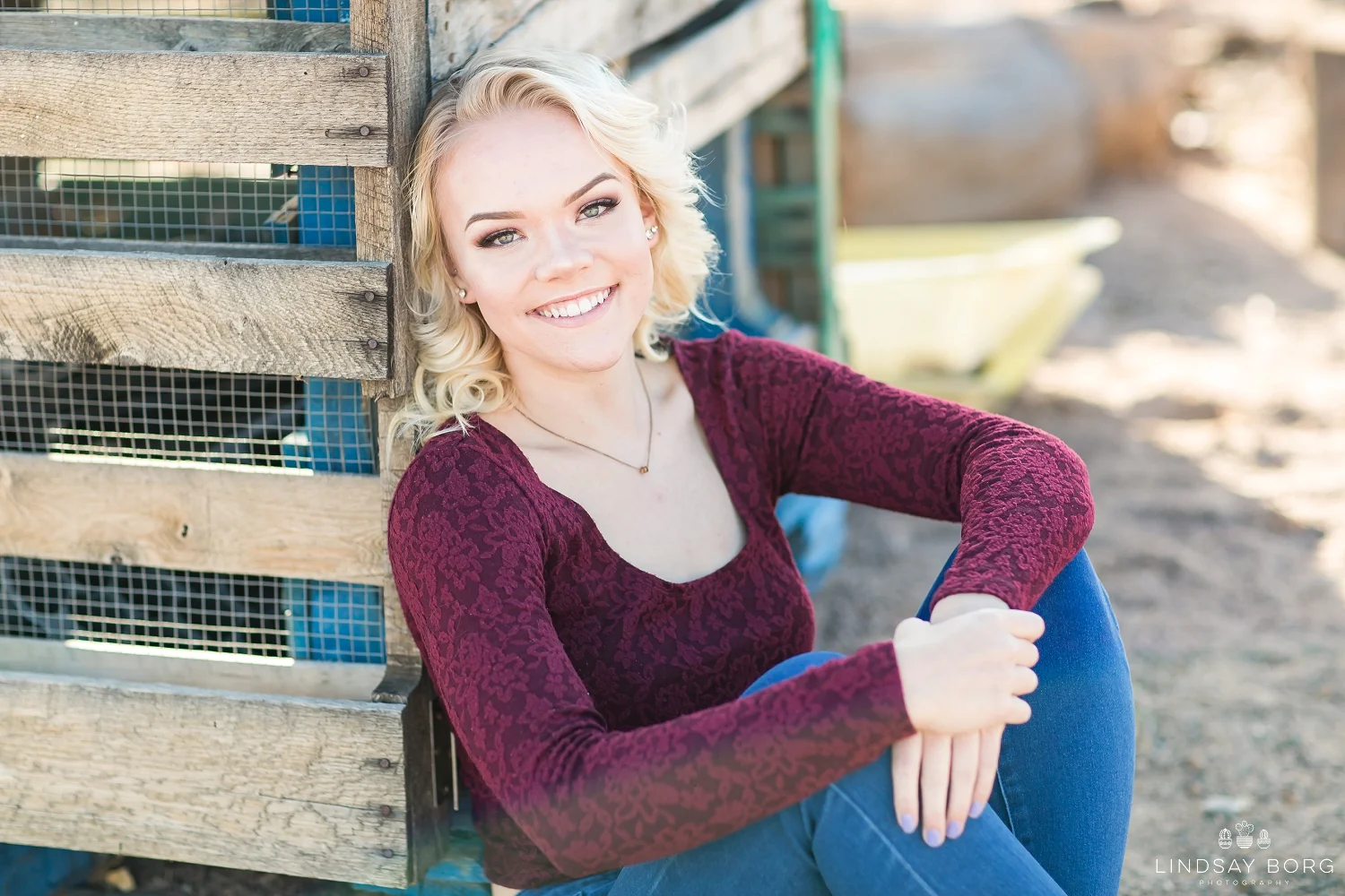 Lindsay-Borg-Photography-arizona-senior-wedding-portrait-photographer-az_1043.jpg