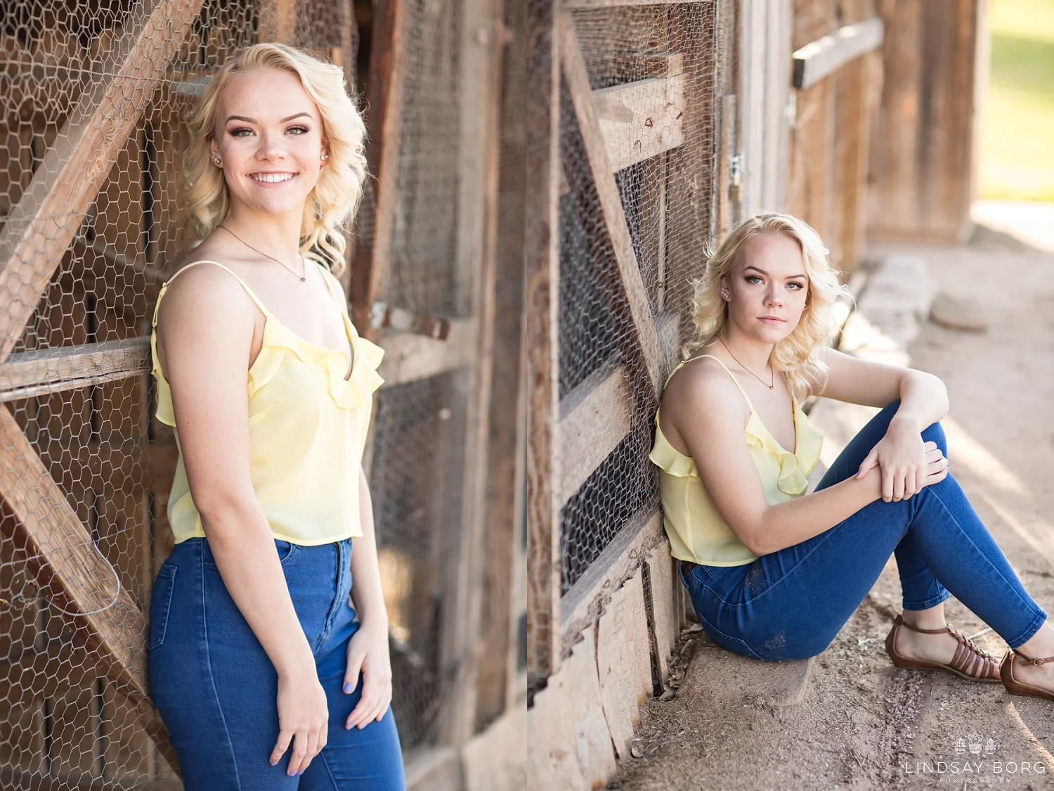 Lindsay-Borg-Photography-arizona-senior-wedding-portrait-photographer-az_1047.jpg