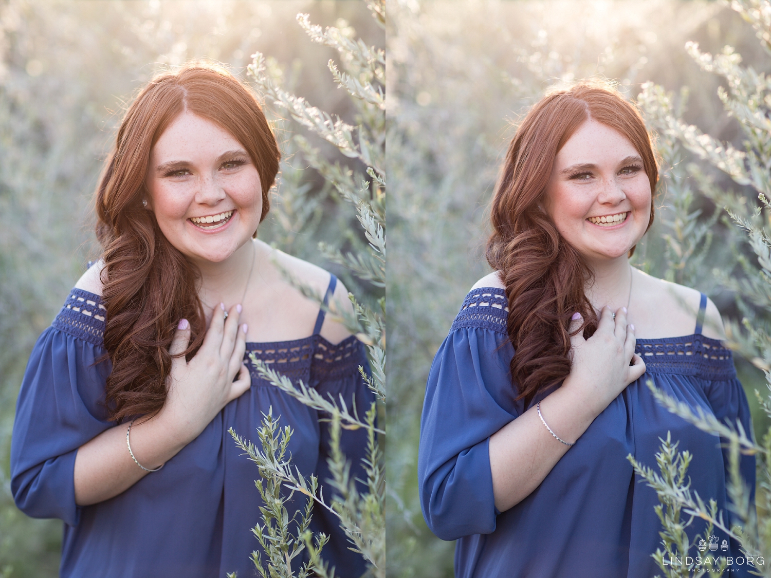 Lindsay-Borg-Photography-arizona-senior-wedding-portrait-photographer-az_1053.jpg