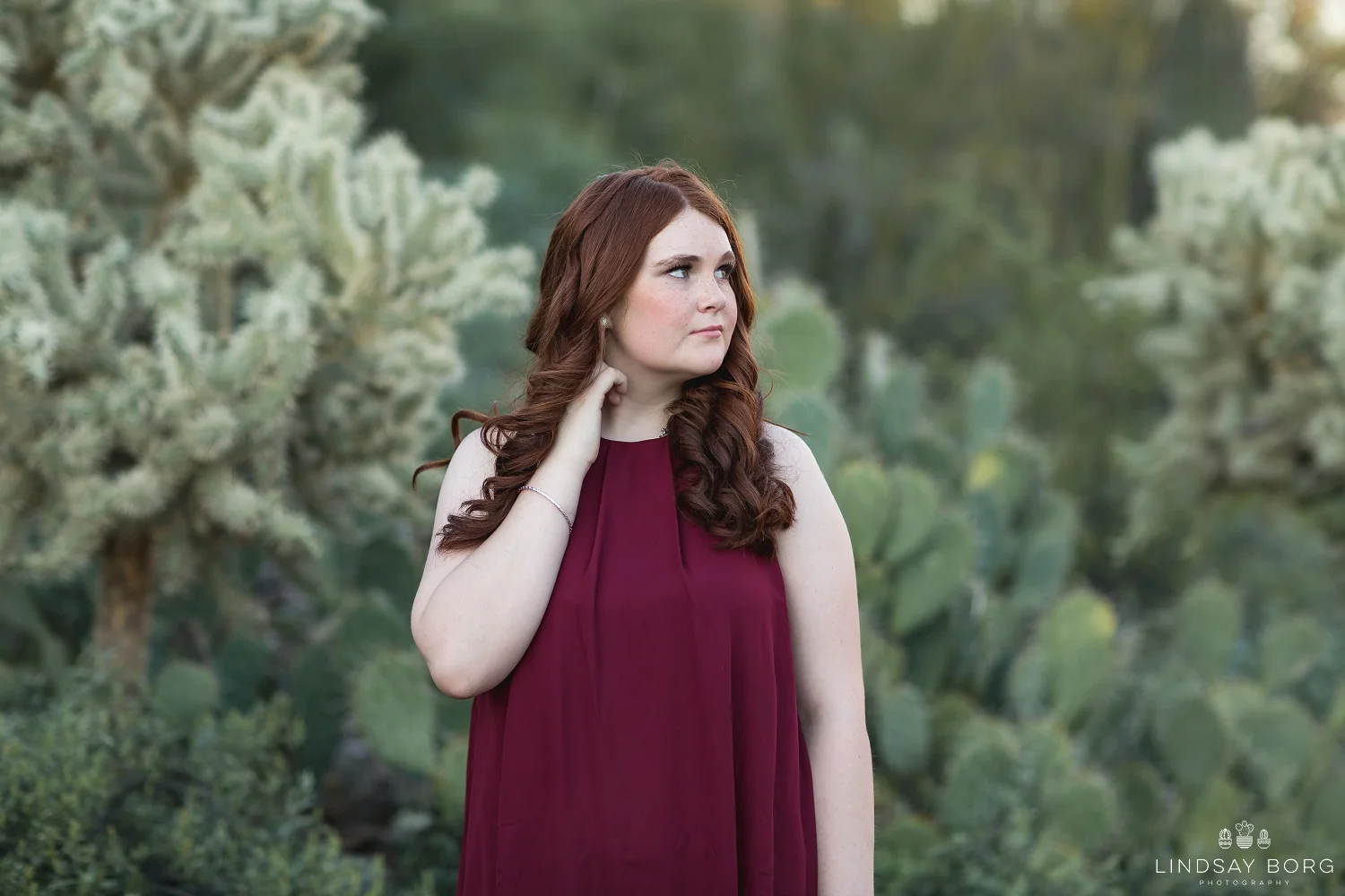 Lindsay-Borg-Photography-arizona-senior-wedding-portrait-photographer-az_1062.jpg