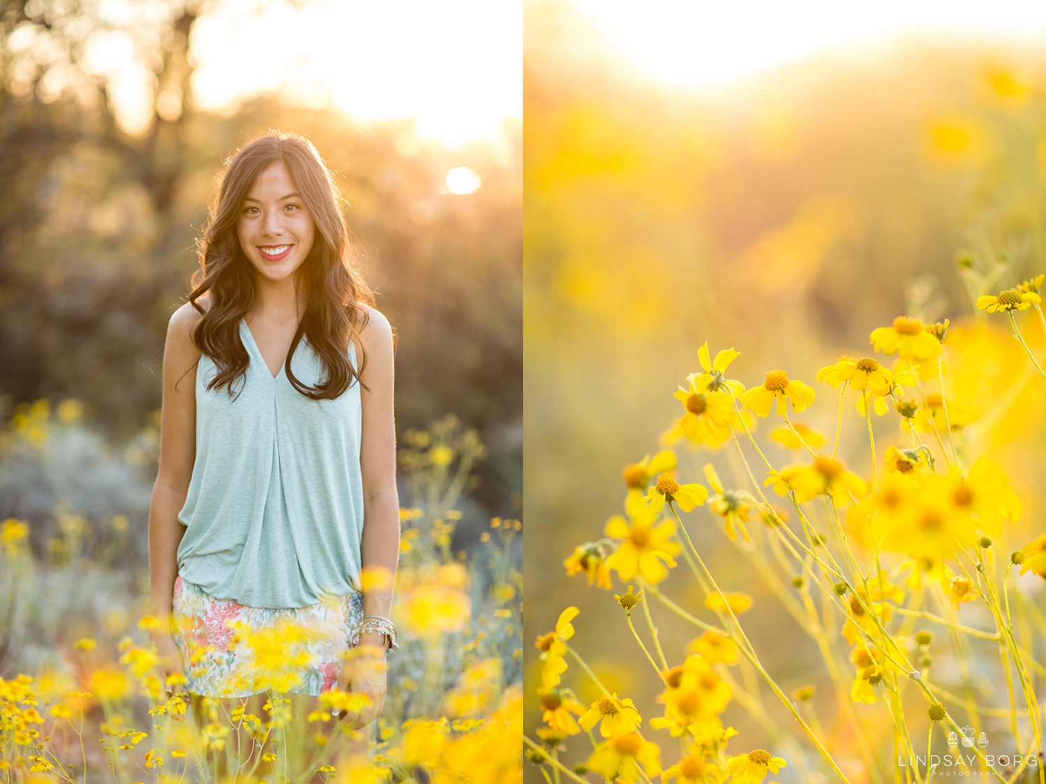 Lindsay-Borg-Photography-arizona-senior-wedding-portrait-photographer-az_1355.jpg