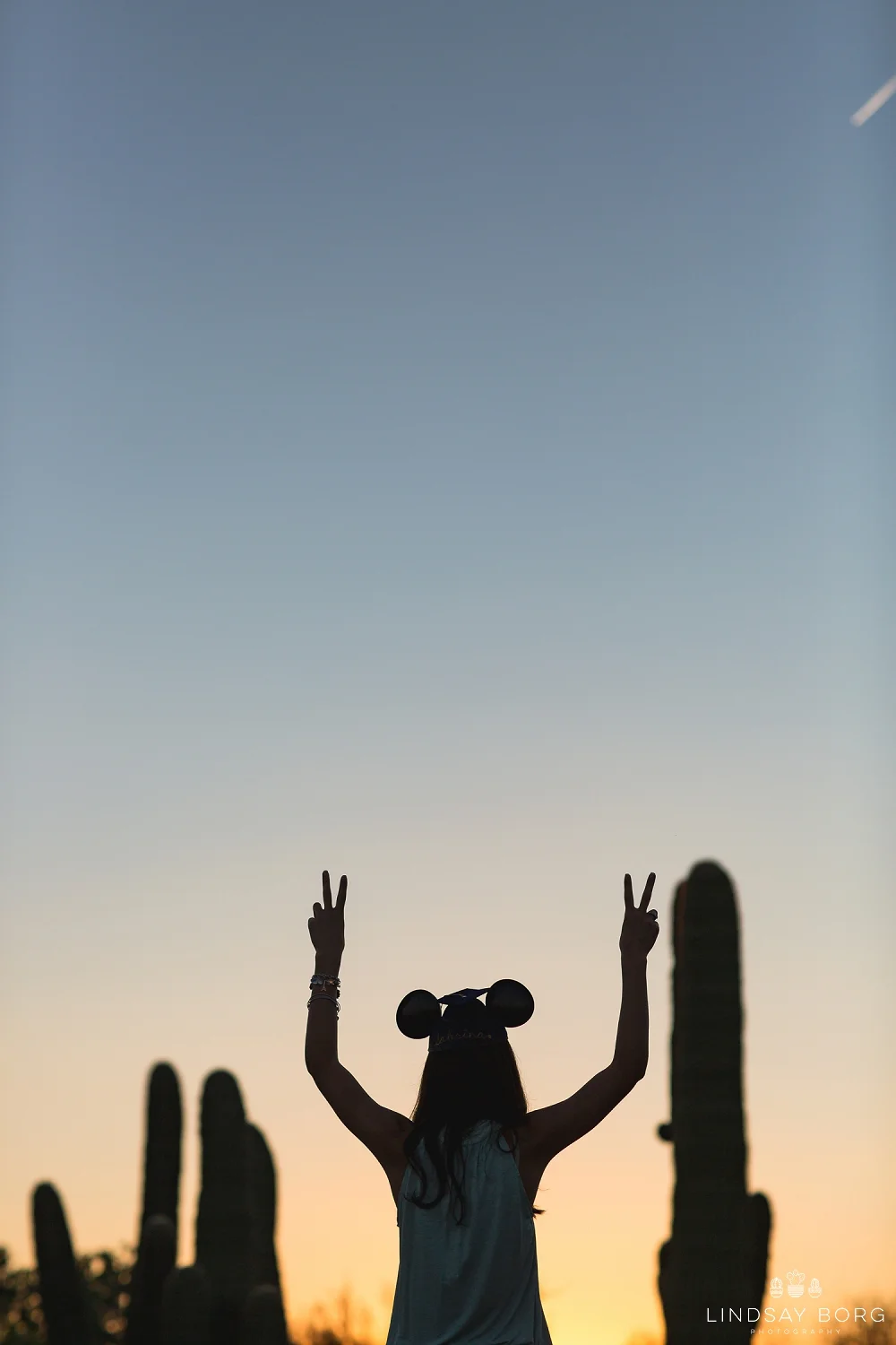 Lindsay-Borg-Photography-arizona-senior-wedding-portrait-photographer-az_1360.jpg