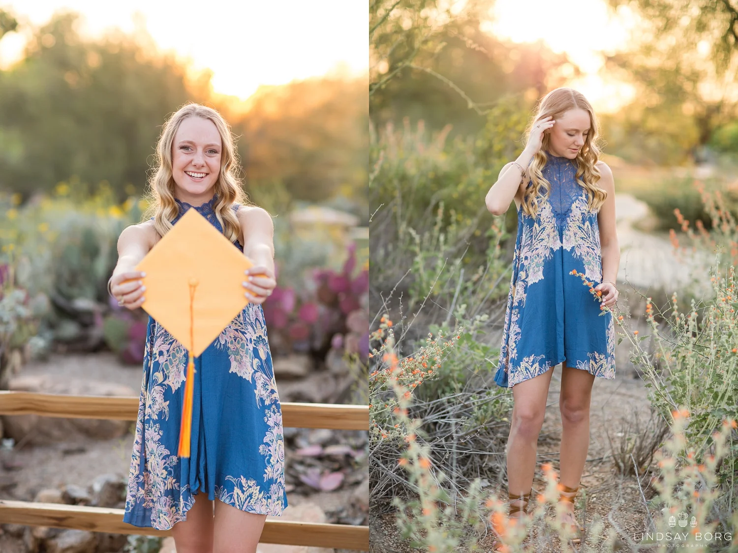 Lindsay-Borg-Photography-arizona-senior-wedding-portrait-photographer-az_1341.jpg