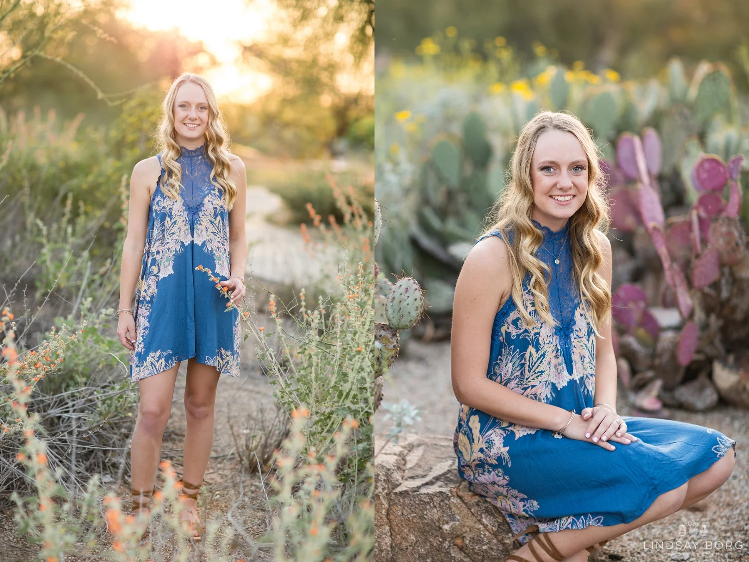 Lindsay-Borg-Photography-arizona-senior-wedding-portrait-photographer-az_1342.jpg