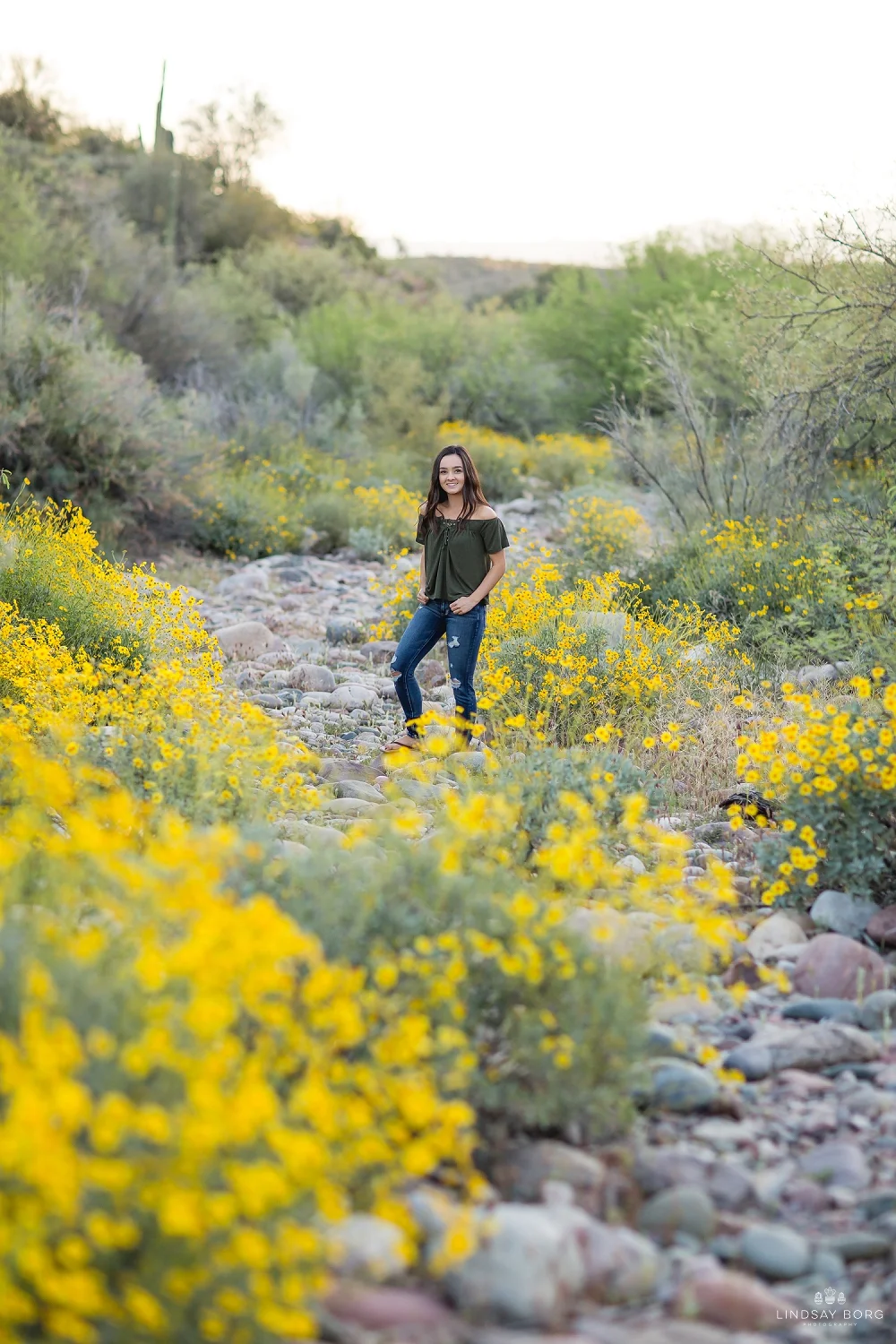 Lindsay-Borg-Photography-arizona-senior-wedding-portrait-photographer-az_2053.jpg