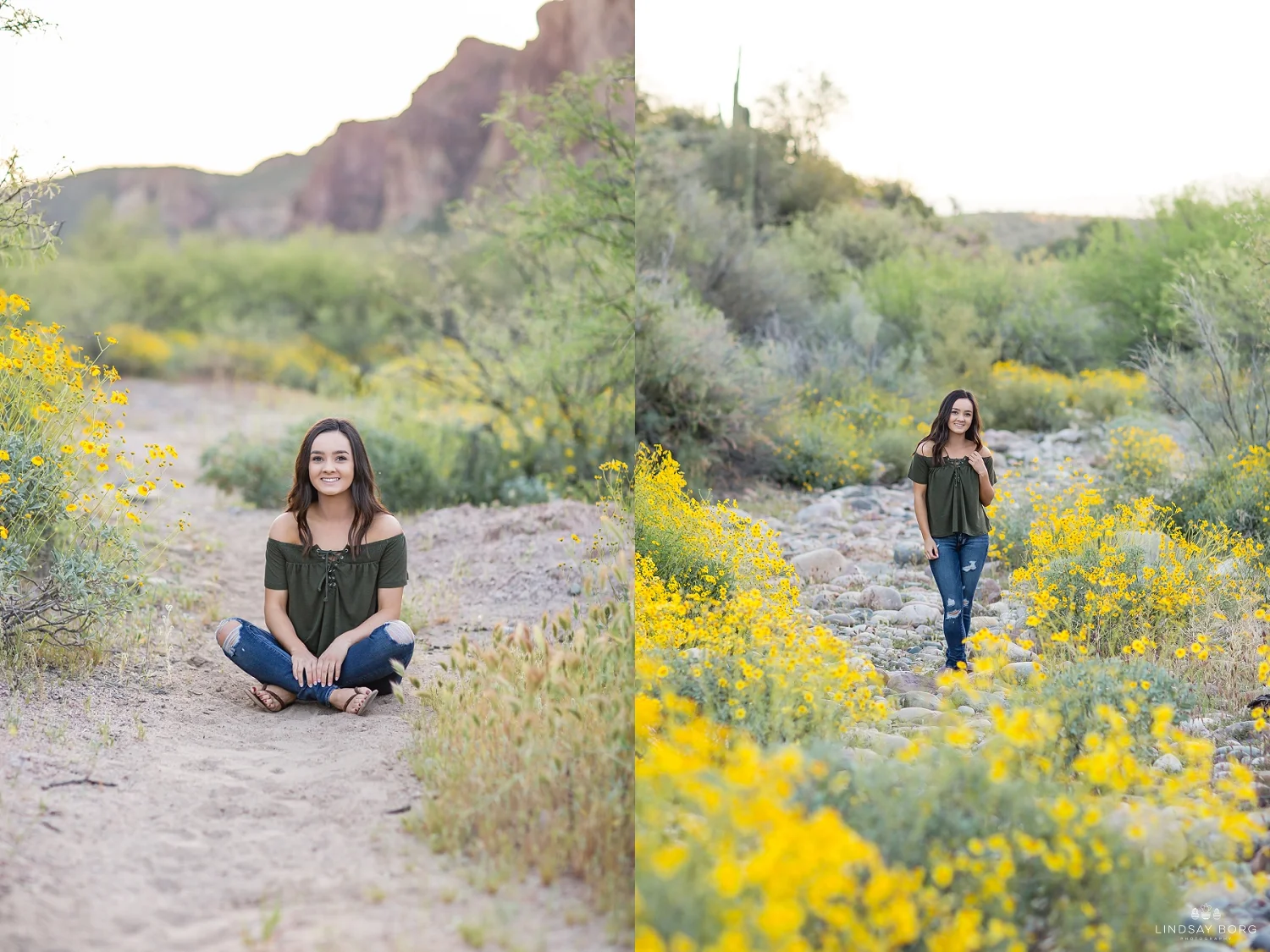 Lindsay-Borg-Photography-arizona-senior-wedding-portrait-photographer-az_2052.jpg