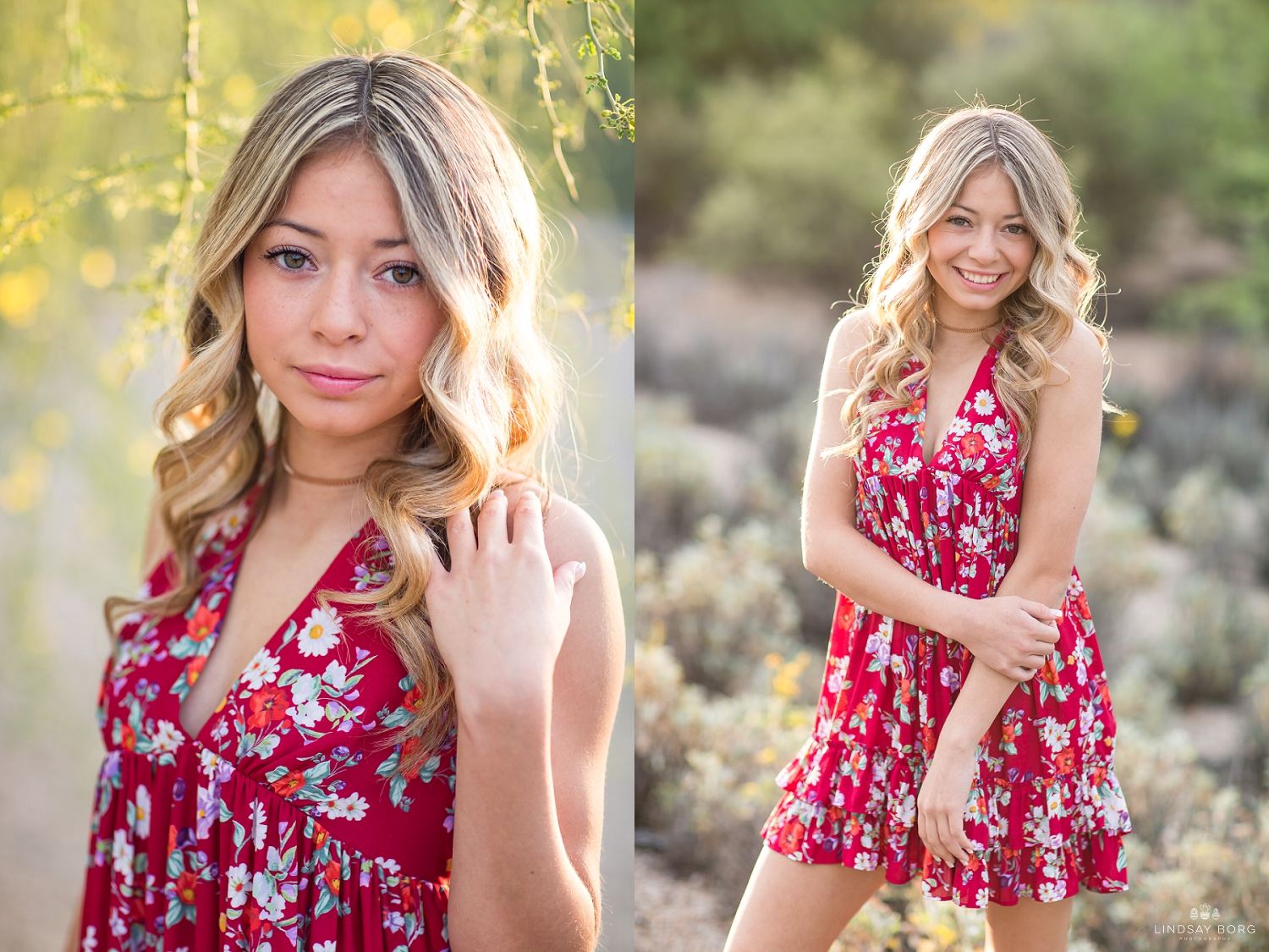 Lindsay-Borg-Photography-arizona-senior-wedding-portrait-photographer-az_2070.jpg