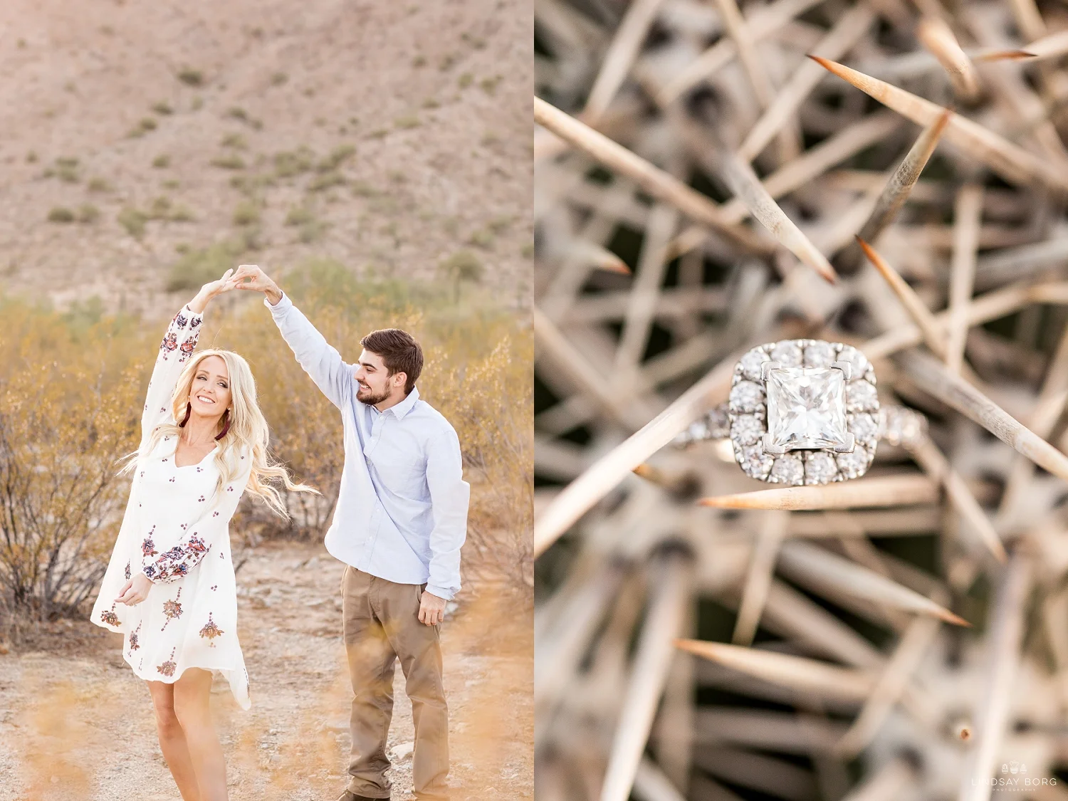 Lindsay-Borg-Photography-arizona-senior-wedding-portrait-photographer-az_2923.jpg