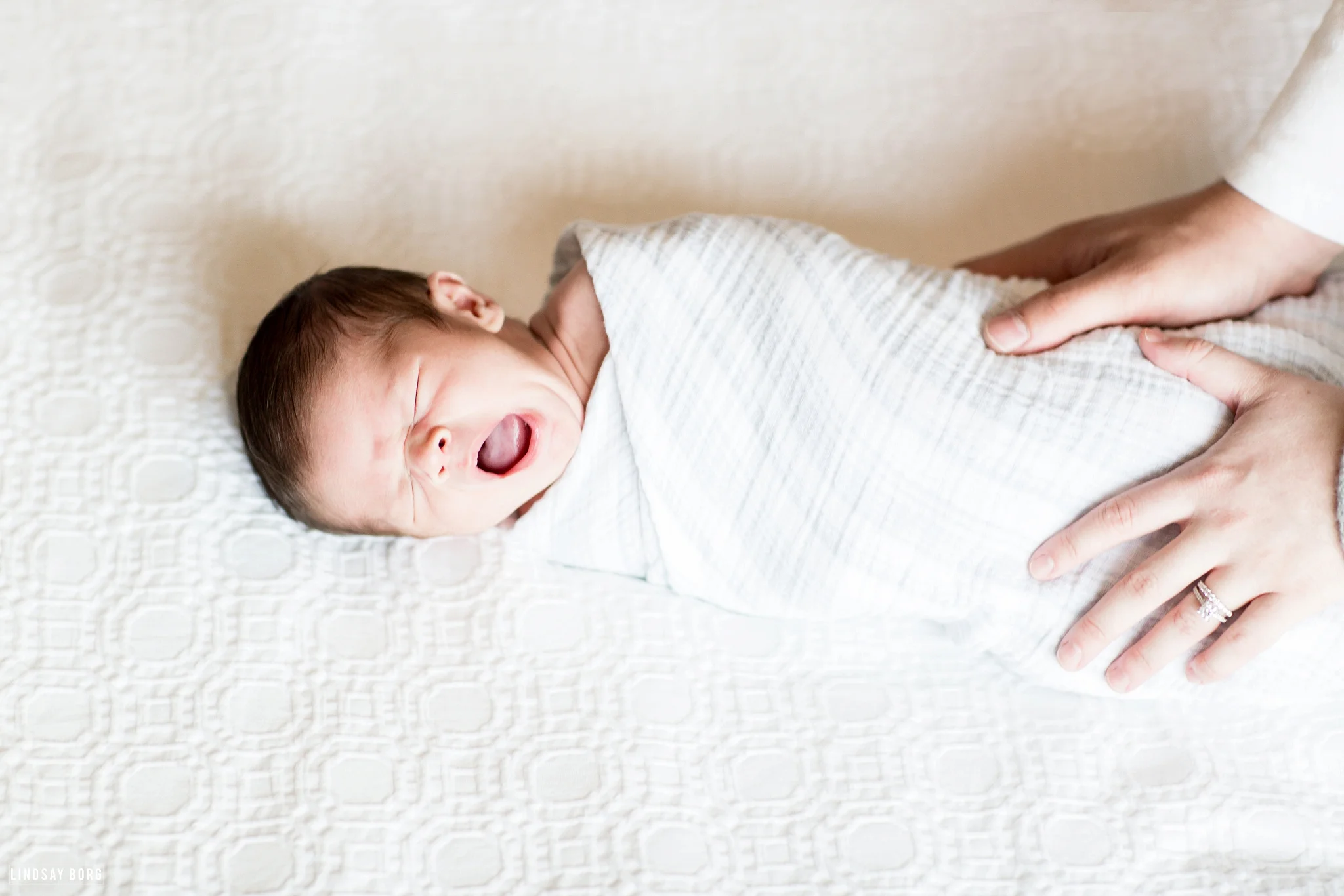 Lindsay-Borg-Photography-Arizona-newborn-family-photographer (11).jpg