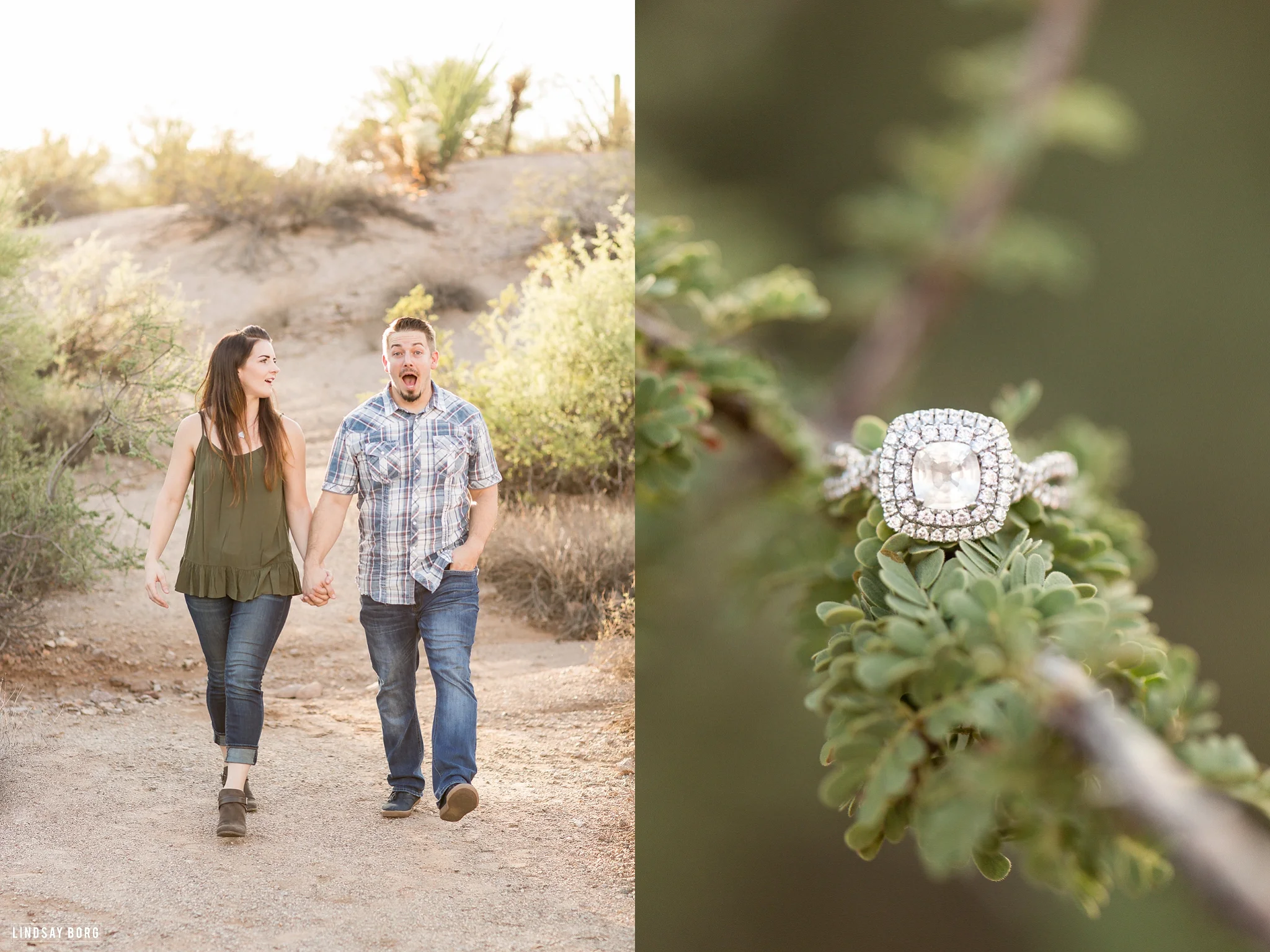 Lindsay-Borg-Photography-Arizona-engagement-photographer-lost-dutchman (2).jpg