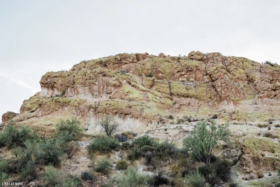 Lindsay-Borg-Photography-Arizona_2802.jpg