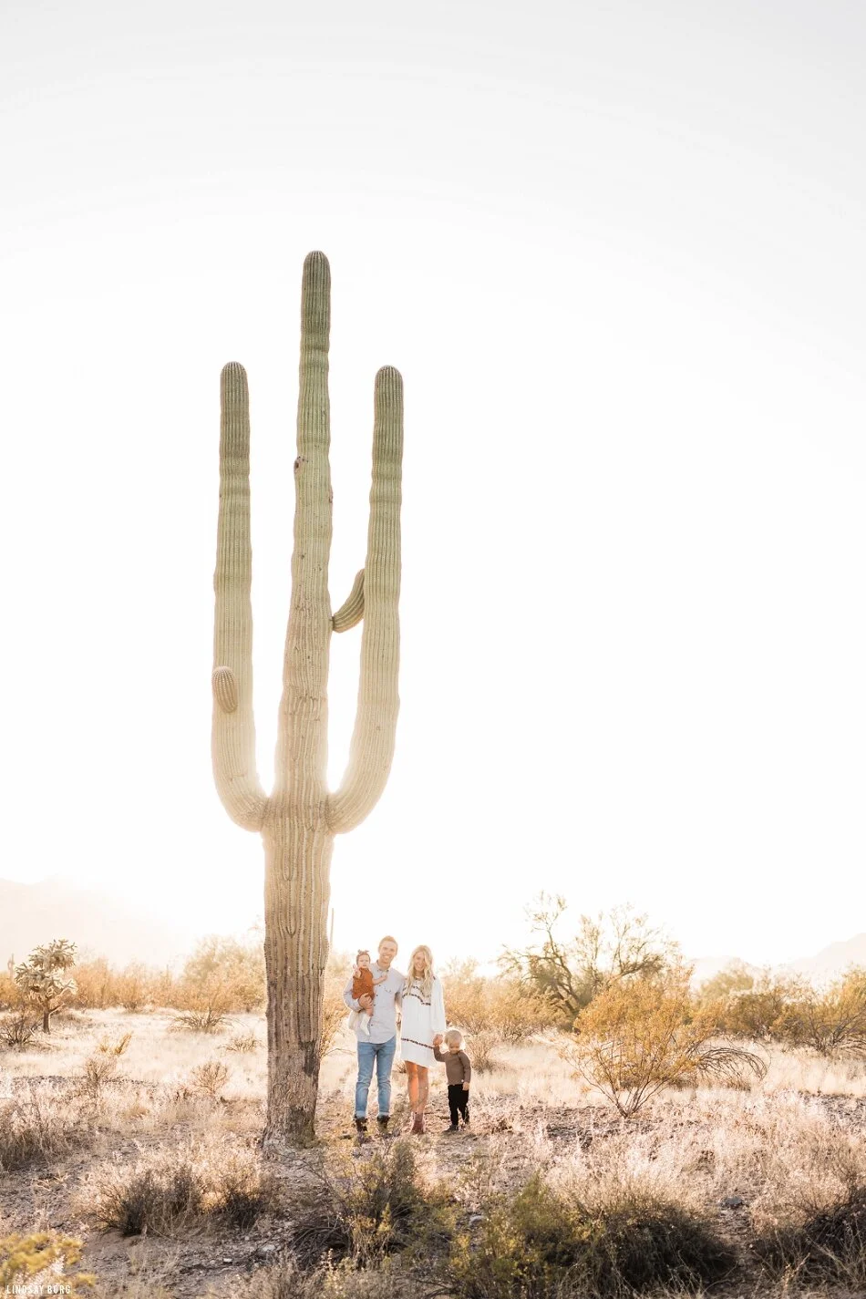 Lindsay-Borg-Photography-Arizona_3533.jpg