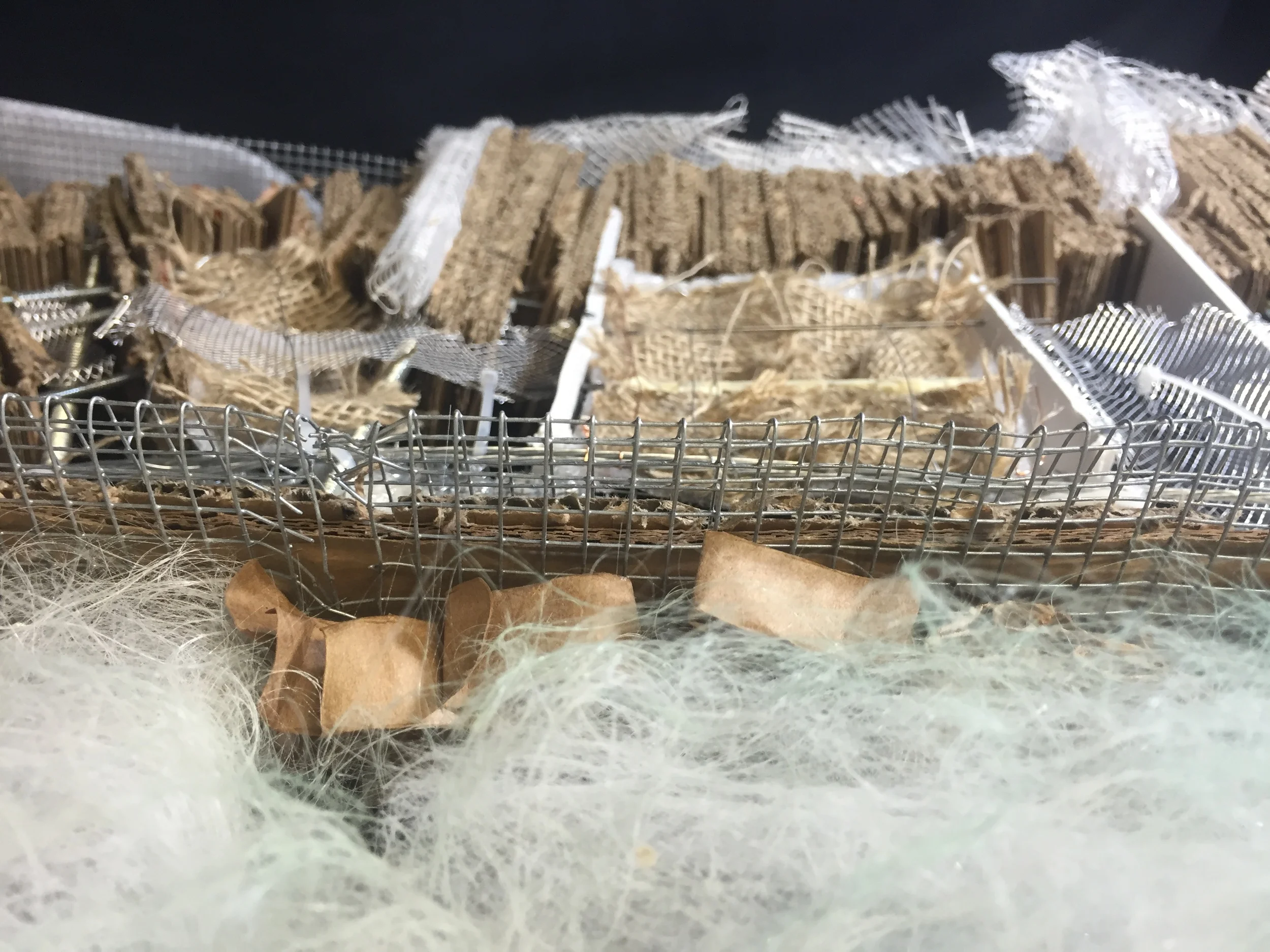 MS River Systems Model