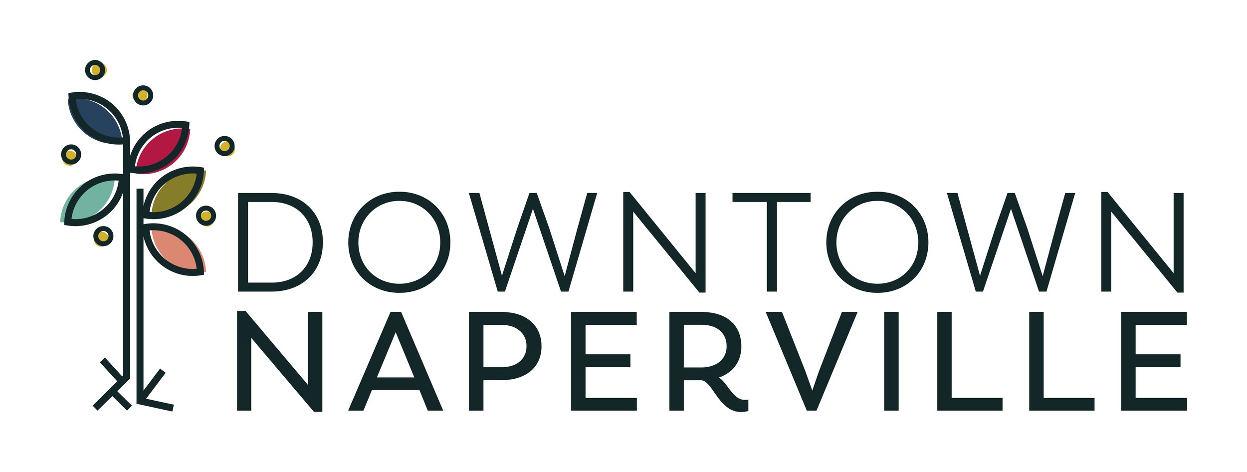 dtnaperville_logo_color.jpg