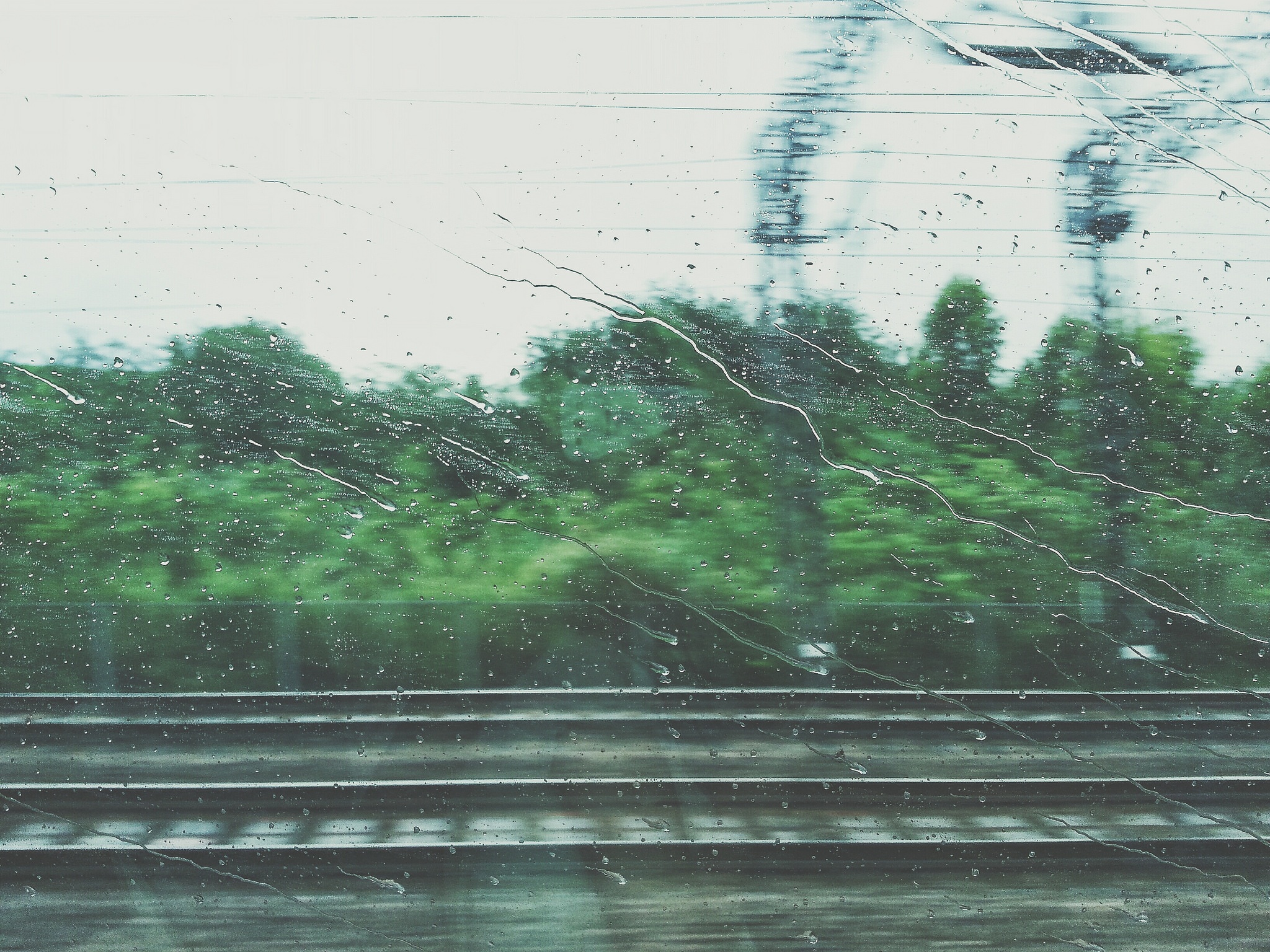 rain train.jpg