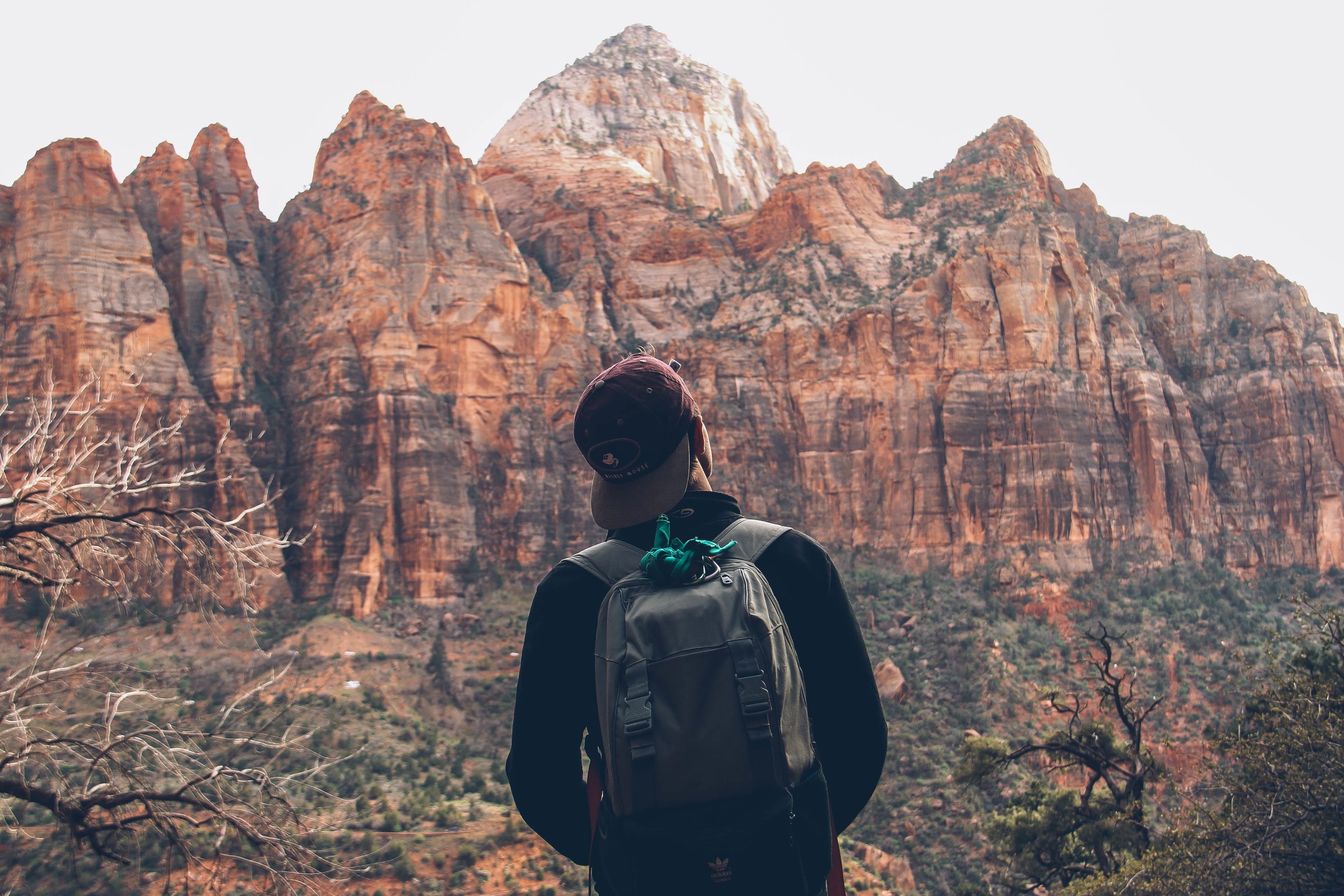 backpack view.jpeg