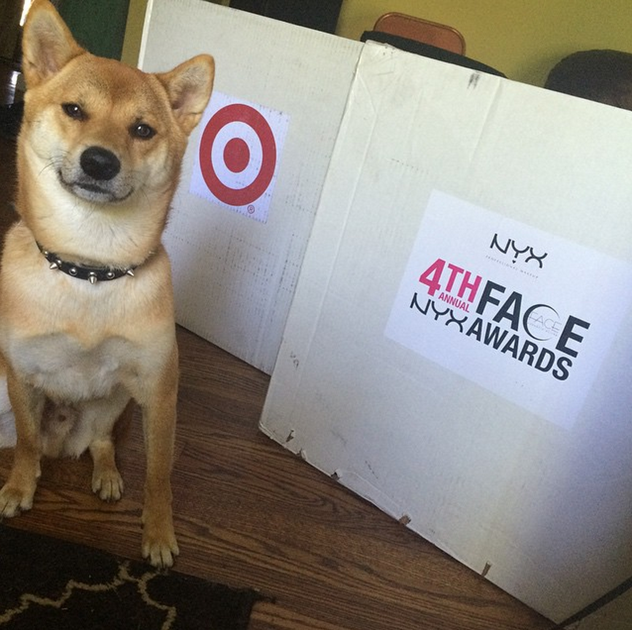 A Shiba Inu for size reference