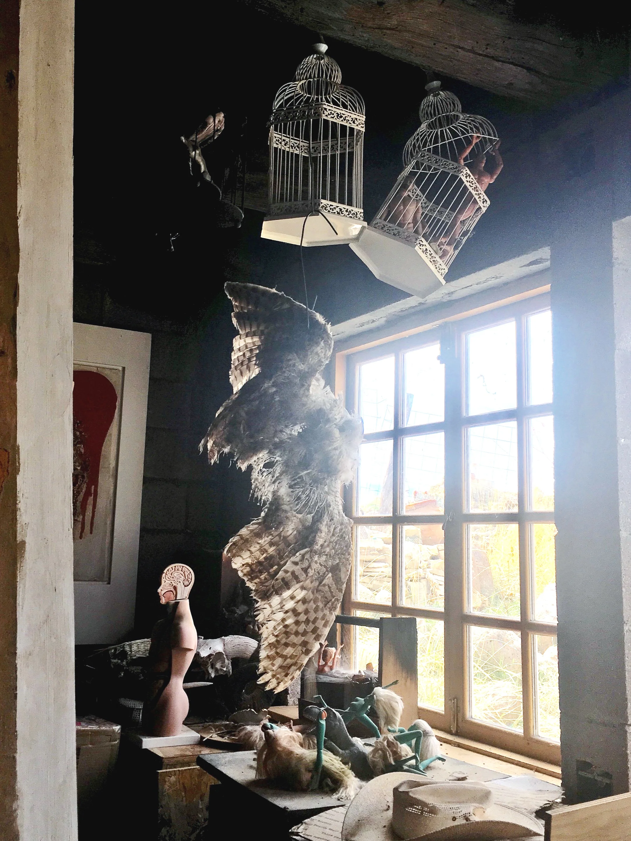 Owl wings hanging beneath bird cages in Anselm’s work room