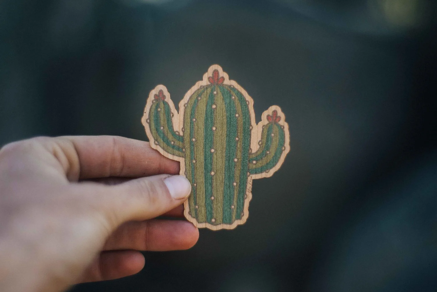 cutiecactus.jpg