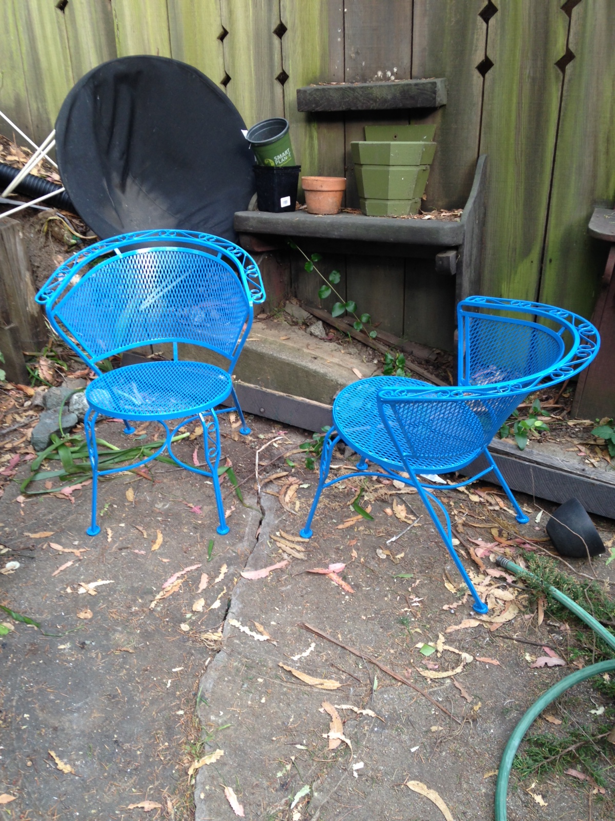 Blue Chairs