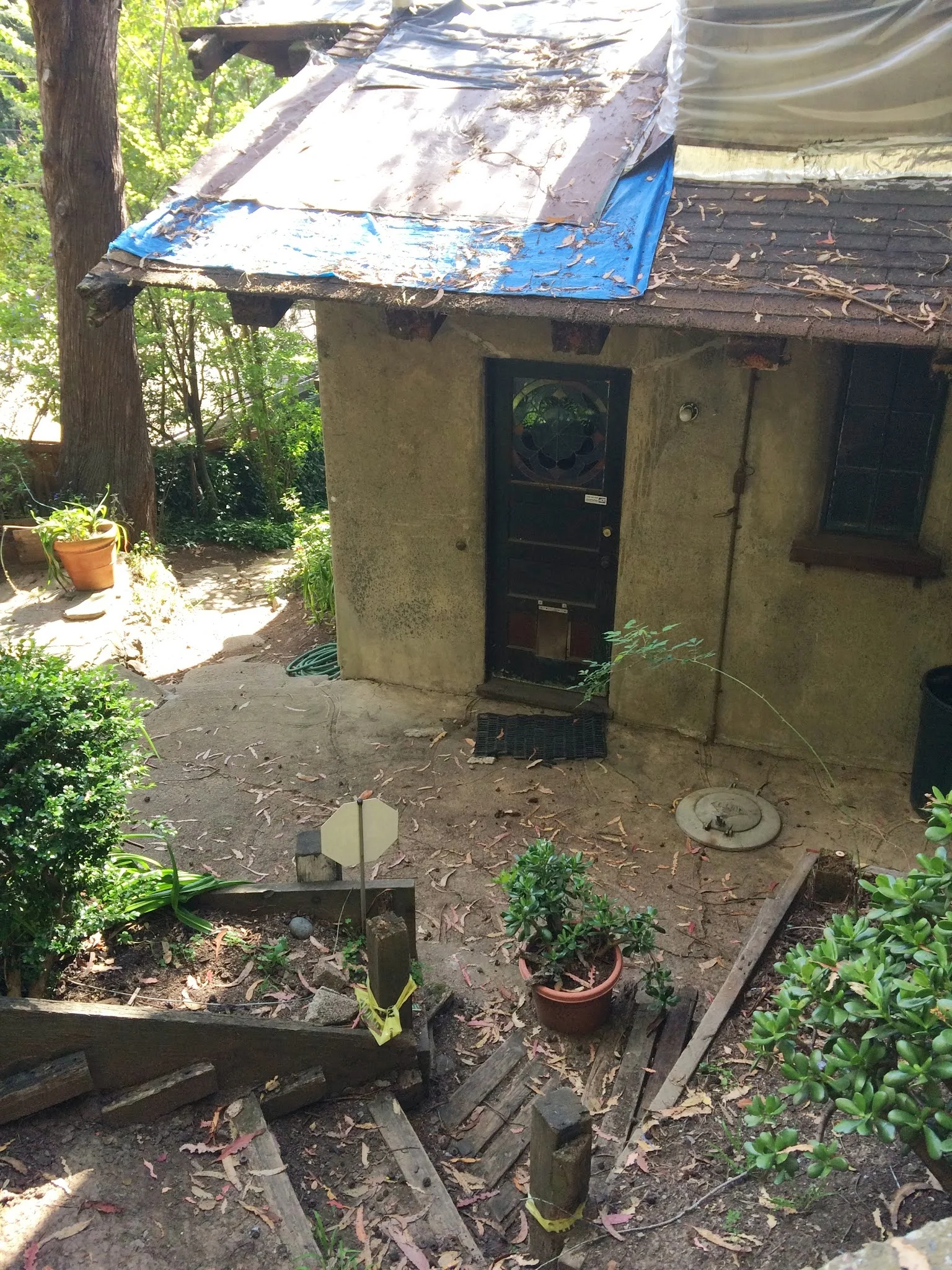 Backyard Patio