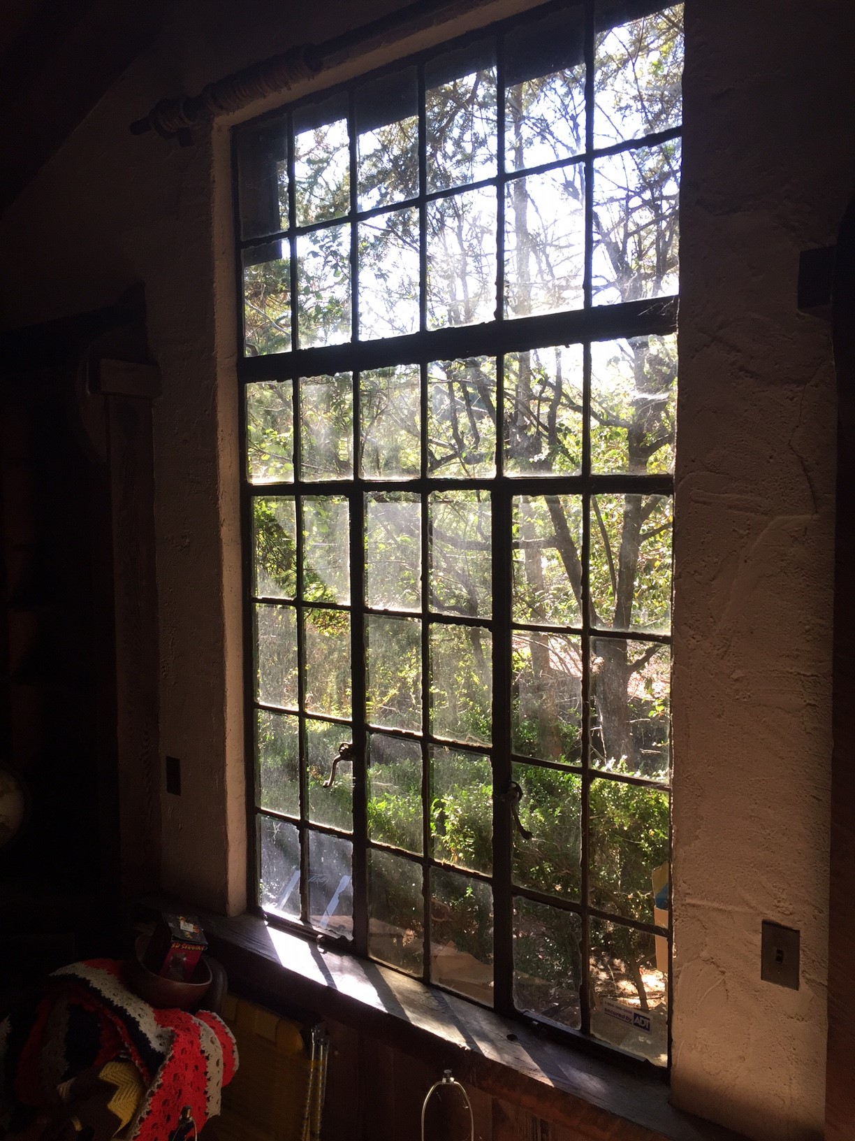 Living Room Window