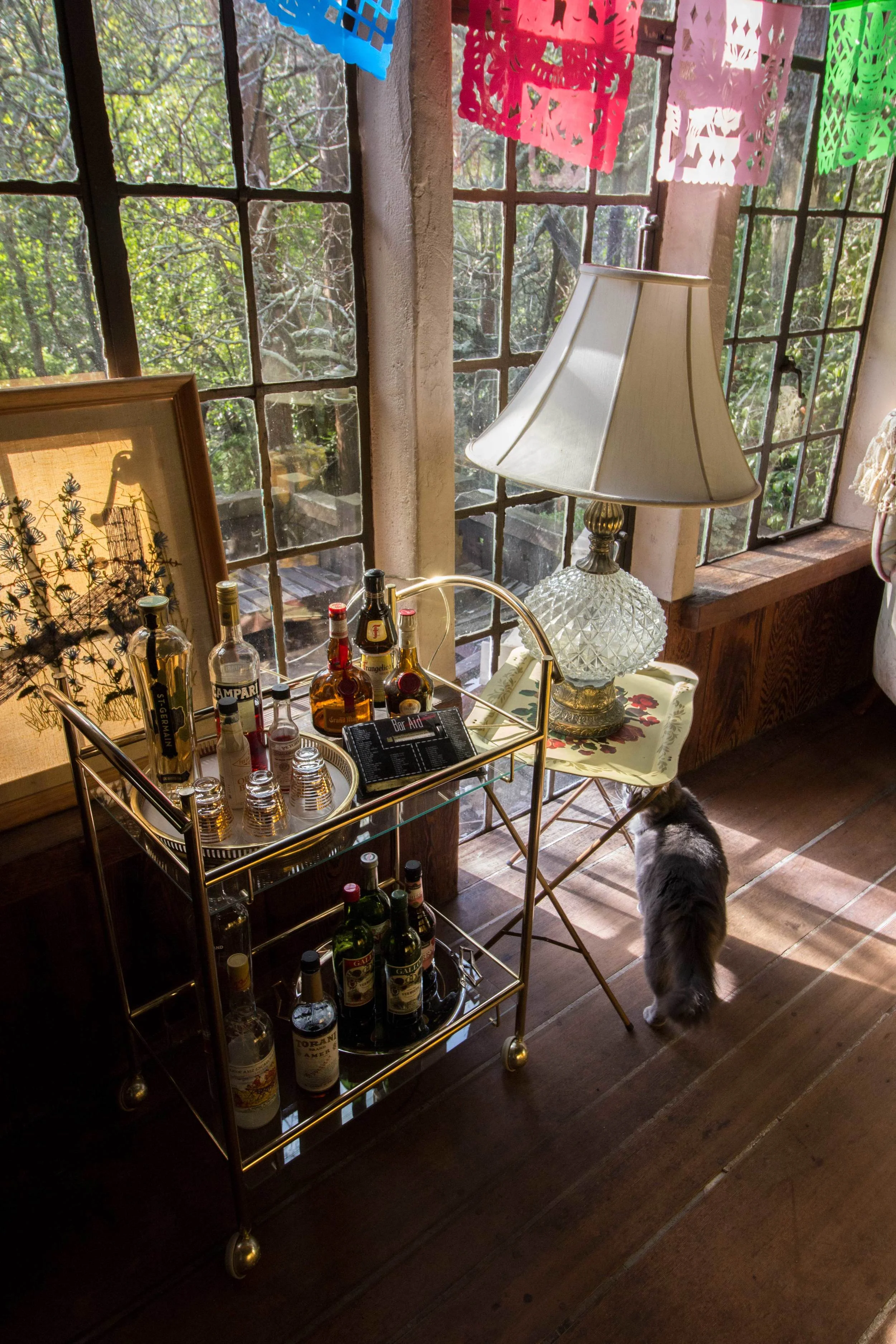 Bar Cart & Meeko