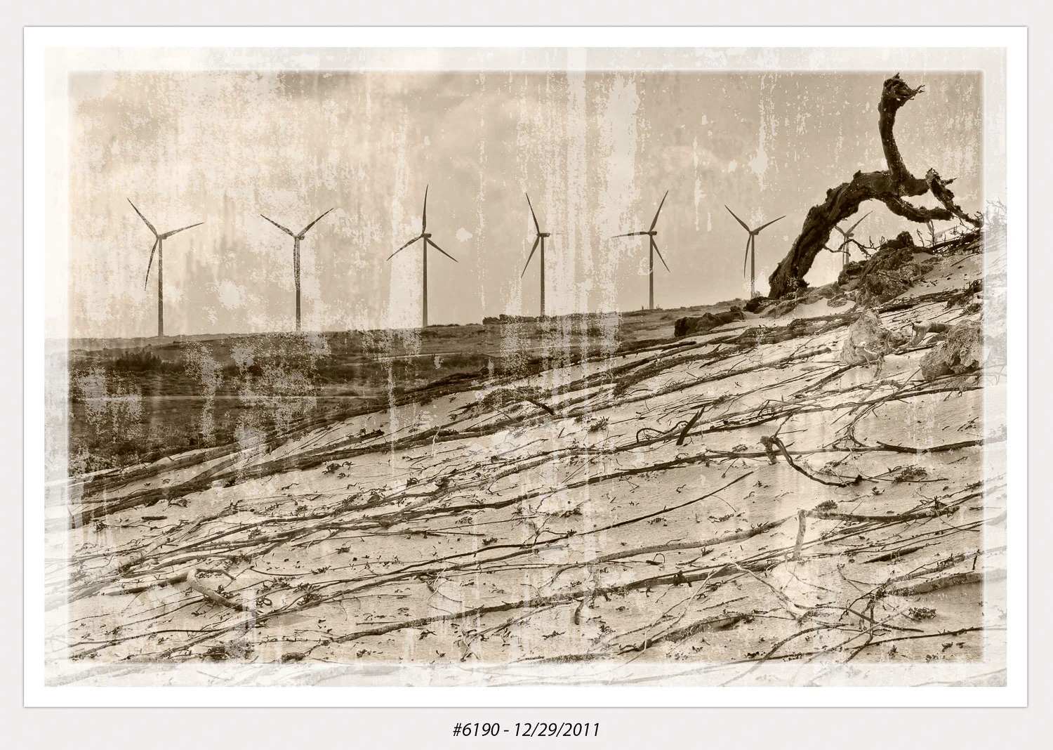 Aruba Windmills