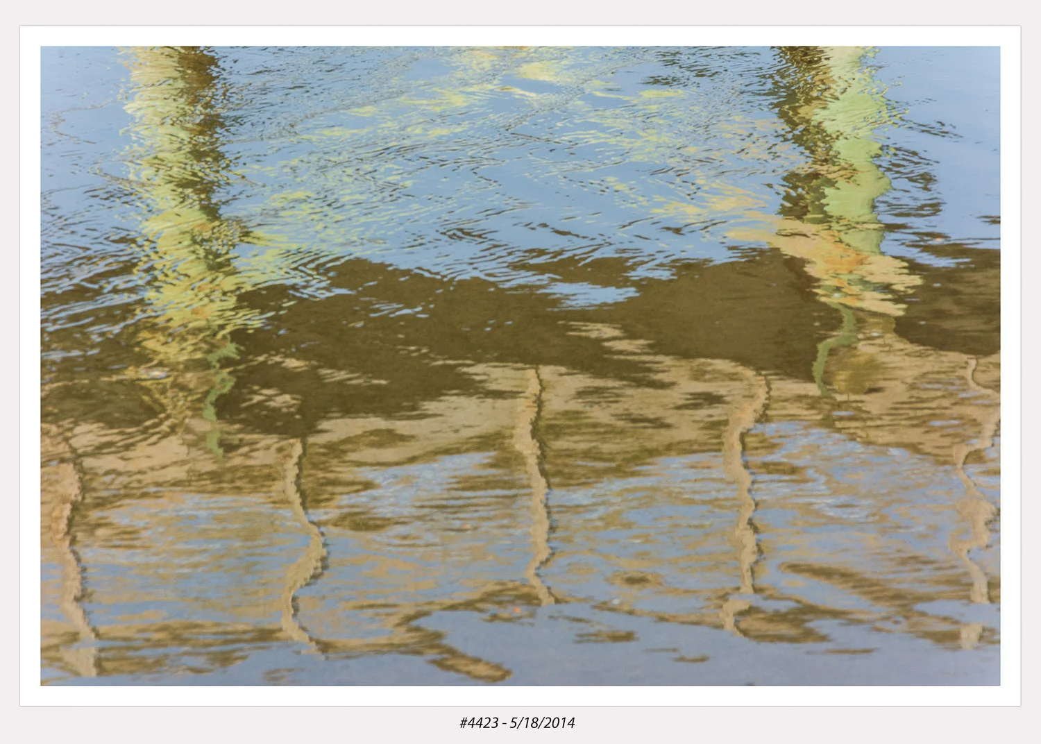 Reflections - Isle of Palms, SC