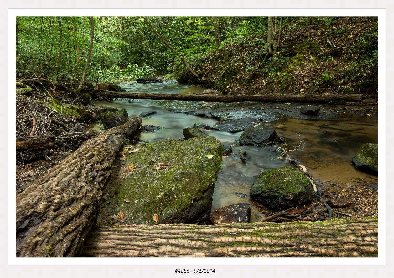 Poinsett Bridge SC
