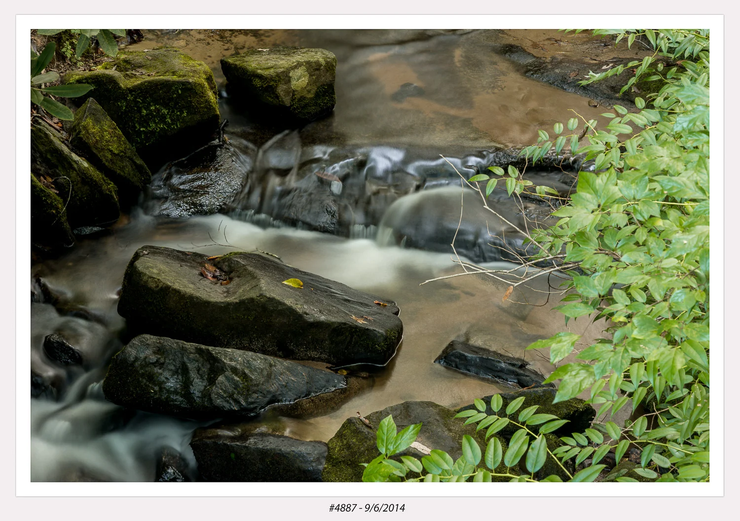 Poinsett Bridge, SC