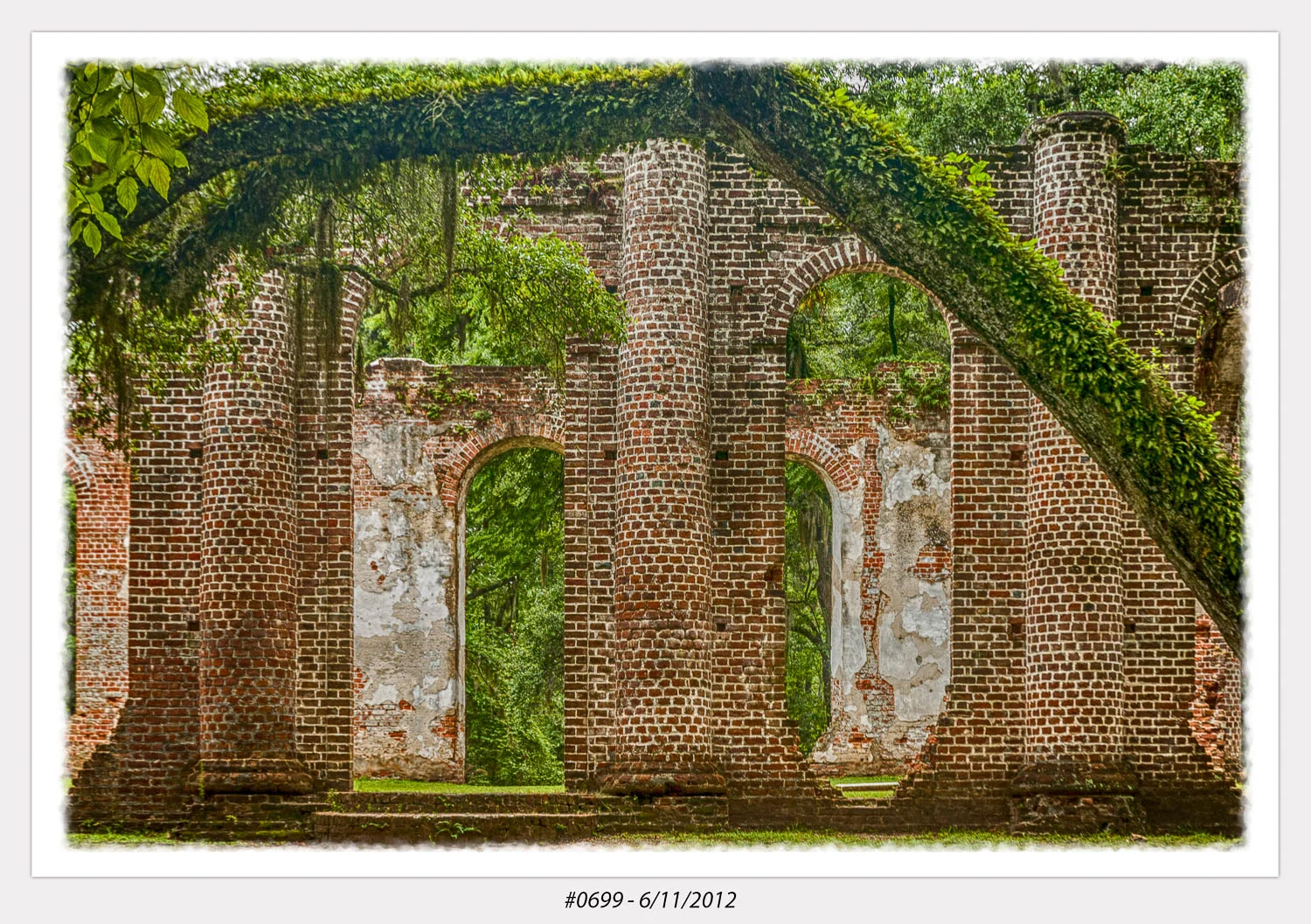 Old Sheldon Church near Beaufort SC