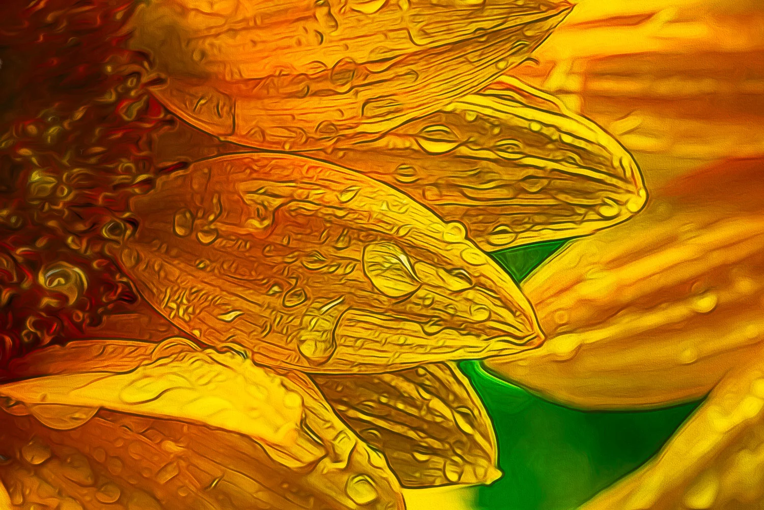 Sunflower