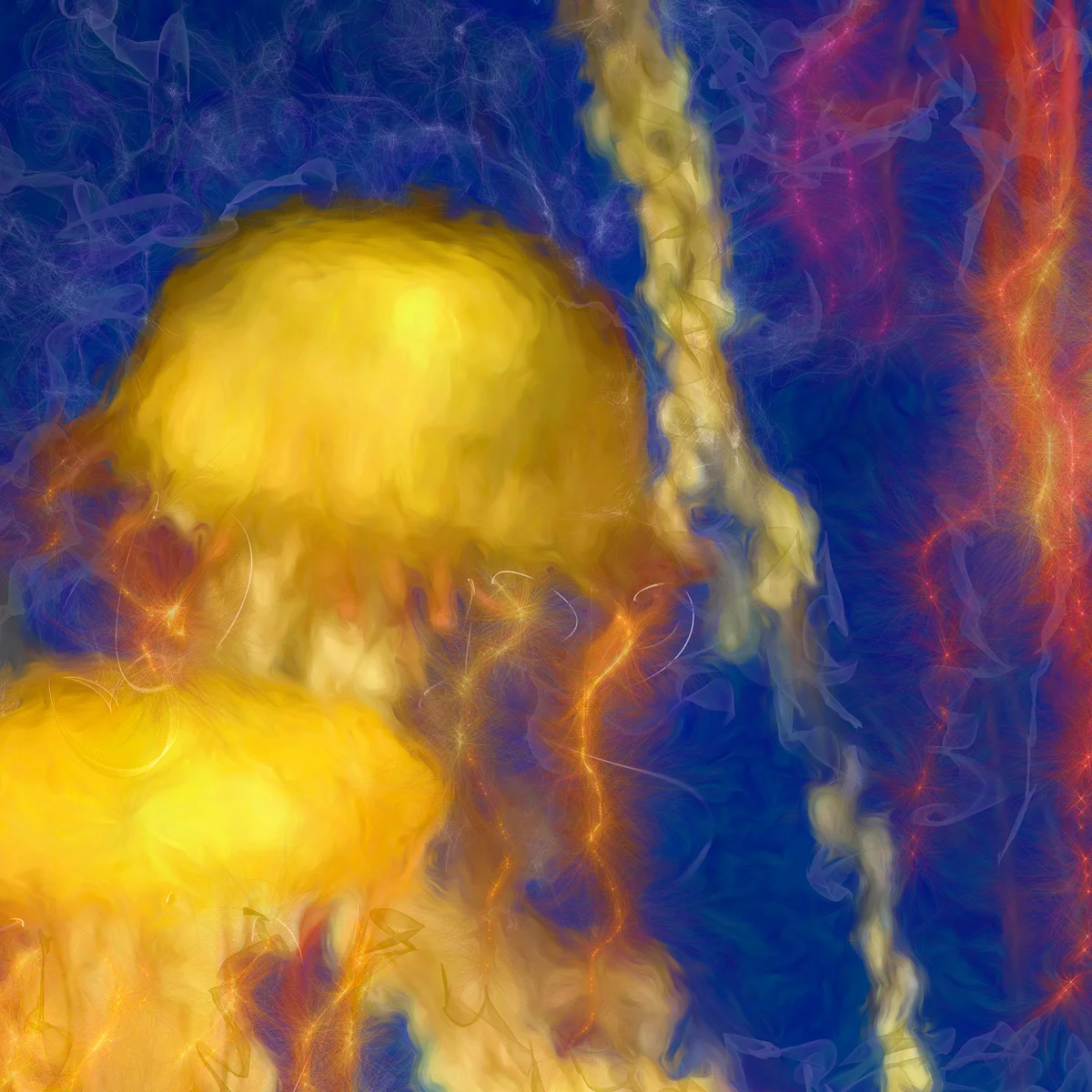 iPhonography.Benzinger_J.Image#IMG_0193 jellyfish square.jpg