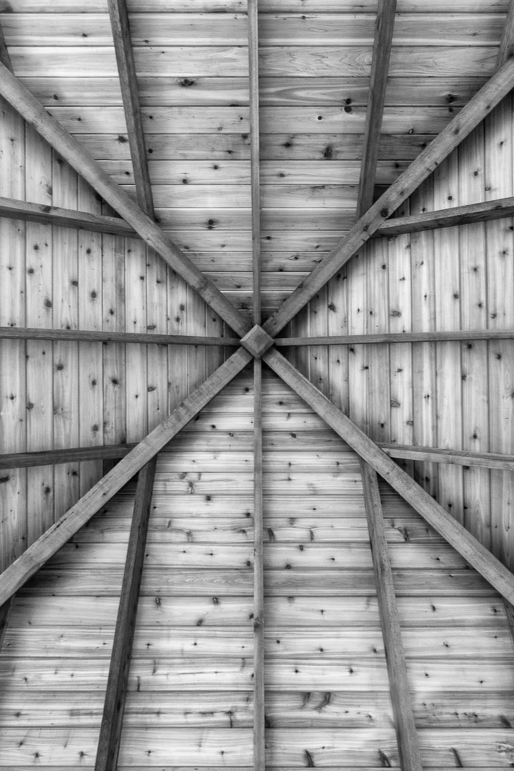 _DSC1494 BW.jpg