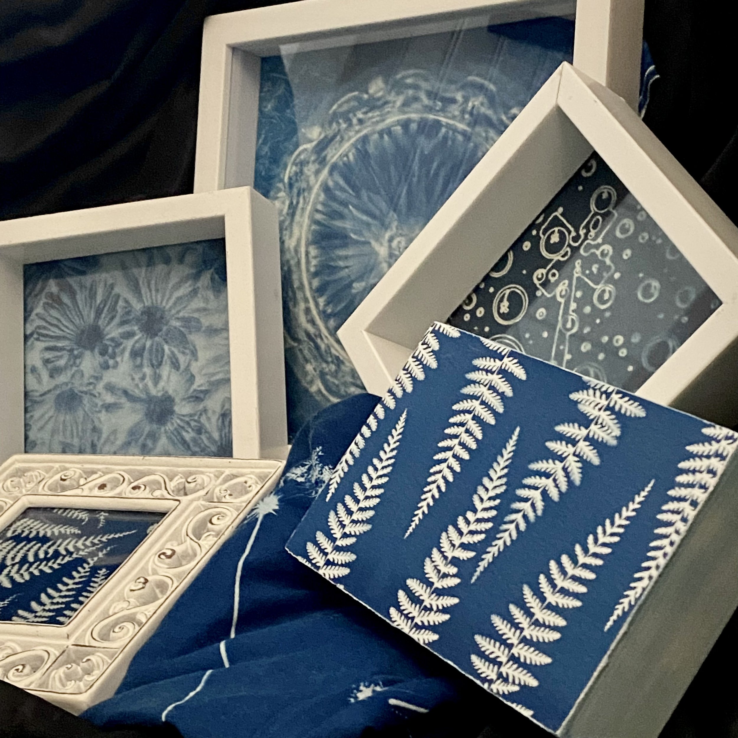 CYANOTYPES (SUN PRINTS) WITH JOANN BENZINGER