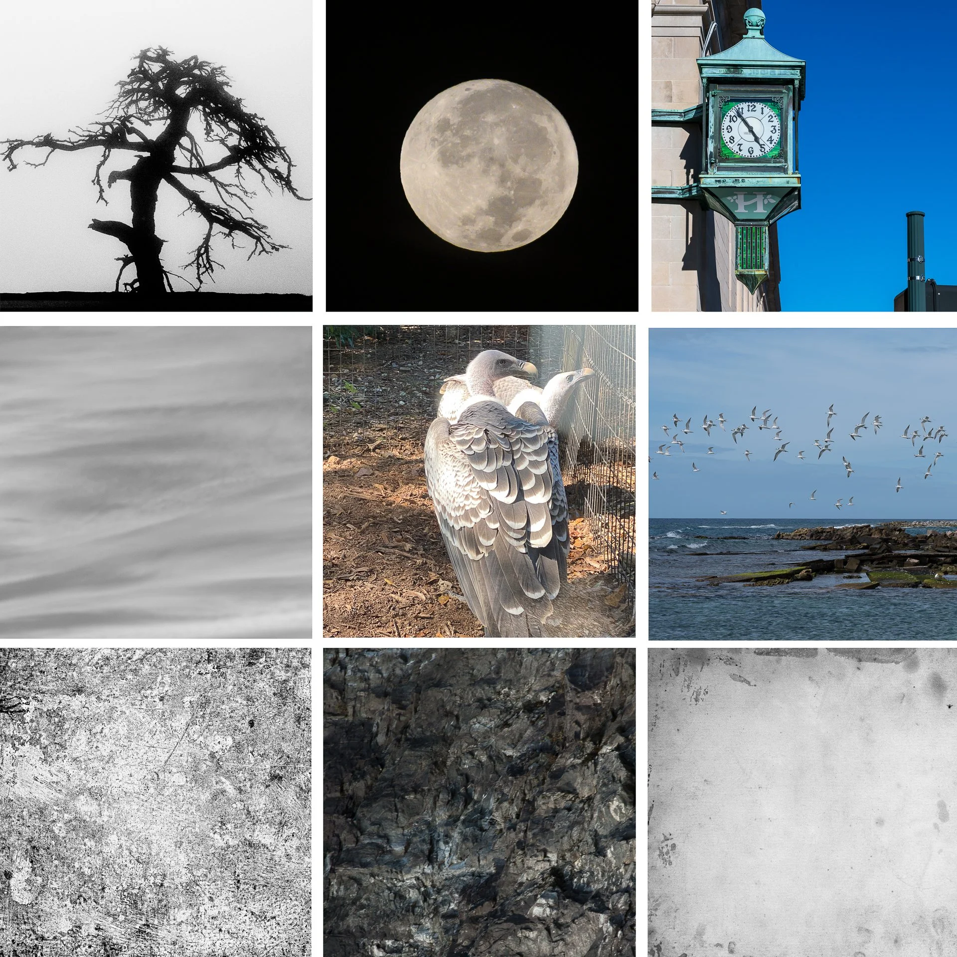 K_Easter_square template w 9_1920px_x_300.jpeg