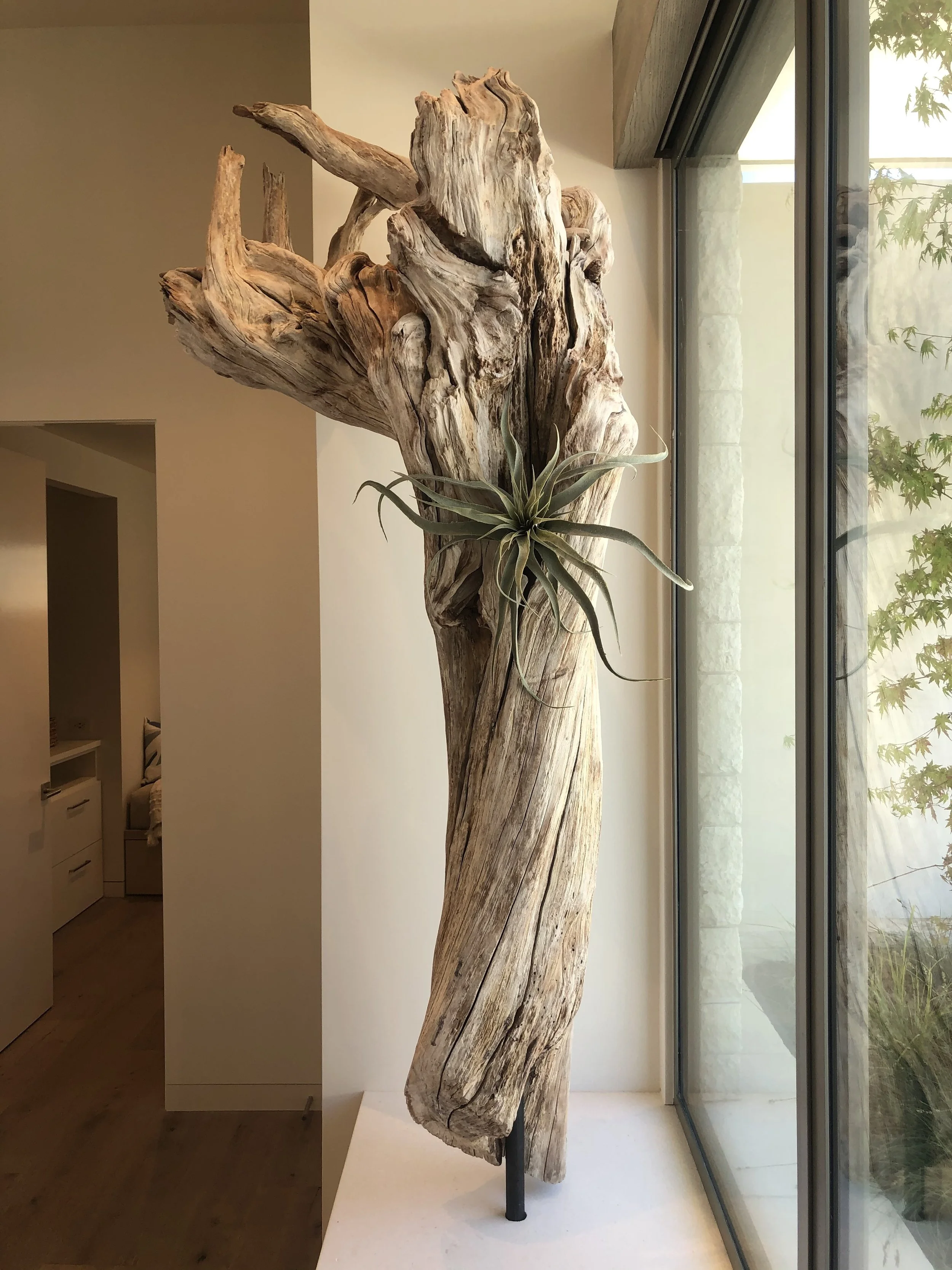 IMG_9434 wood sculpture.jpg